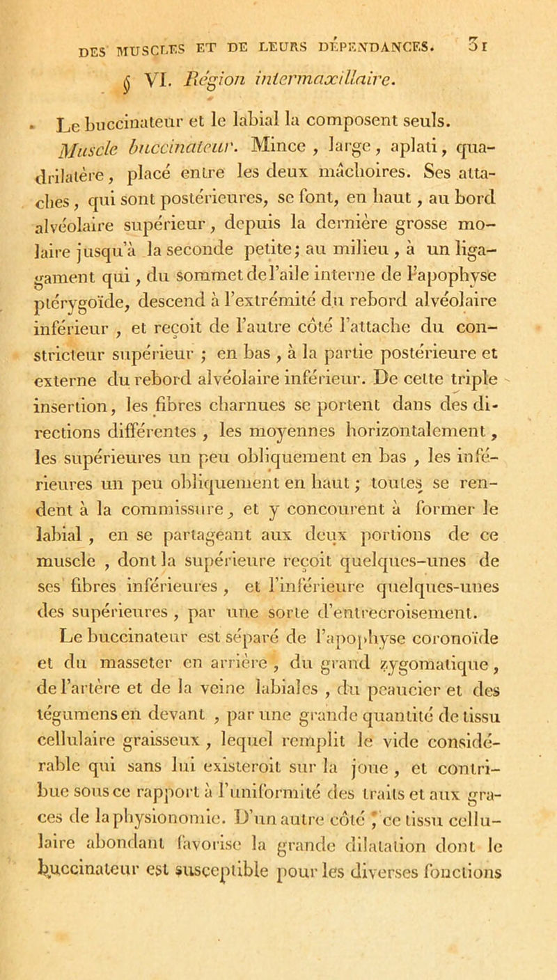 0 VI. B cgi on intermaxillaire. • Le buccinateur et le labial la composent seuls. Muscle bnccinaleur. Mince, large, aplati, qua- drilatère , placé enlre les deux mâchoires. Ses atta- ches , qui sont postérieures, se font, en haut, au bord alvéolaire supérieur, depuis la dernière grosse mo- laire jusqu’à la seconde petite; au milieu , à un liga- gament qui, du sommet de l’aile interne de l’apophyste ptérygoïde, descend à l’extrémité du rebord alvéolaire inférieur , et reçoit de l’autre côté l’attache du con- stricteur supérieur ; en bas , à la partie postérieure et externe du rebord alvéolaire inférieur. De celte triple insertion, les fibres charnues se portent dans des di- rections différentes , les moyennes horizontalement, les supérieures un peu obliquement en bas , les infé- rieures un peu obliquement en haut ; toutes se ren- dent à la commissure, et y concourent à former le labial , en se partageant aux deux portions de ce muscle , dont la supérieure reçoit quelques-unes de ses fibres inférieures , et l’inférieure quelques-unes des supérieures , par une sorte d’entrecroisement. Le buccinateur est séparé de l’apophyse coronoïde et du masseter en arrière , du grand zygomatique, de l’artère et de la veine labiales , du peaucier et des tégumensen devant , par une grande quantité de tissu cellulaire graisseux , lequel remplit le vide considé- rable qui sans lui existeroit sur la joue , et contri- bue sous ce rapport à l’uniformité des traits et aux grâ- ces de la physionomie. D’un autre côté * ce tissu cellu- laire abondant favorise la grande dilatation dont le buccinateur est susceptible pour les diverses fonctions