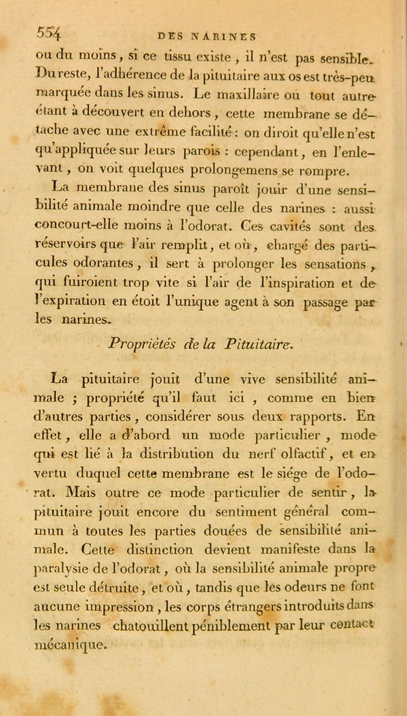 ou du moins, si ce tissu existe , il n’est pas sensible. Du reste, l’adhérence de la pituitaire aux os est très-peu marquée dans les sinus. Le maxillaire ou tout autre étant à découvert en dehors , cette membrane se dé- tache avec une extrême facilité: on diroit quelle n’est qu’appliquée sur leurs parois : cependant, en l’enle- vant , on voit quelques prolongemens se rompre. La membrane des sinus paroît jouir d’une sensi- bilité animale moindre que celle des narines : aussi concourt-elle moins à l’odorat. Ces cavités sont des réservoirs que l’air remplit, et où, chargé des parti- cules odorantes, il sert à prolonger les sensations r qui fuiroient trop vite si l’air de l’inspiration et de l’expiration en était l’unique agent à son passage par les narines- Propriétés de la Pituitaire. La pituitaire jouit d’une vive sensibilité ani- male ; propriété qu’il faut ici , comme en bien d’autres parties , considérer sous deux rapports. En effet, elle a d’abord un mode particulier , mode qui est lié à la distribution du nerf olfactif, et en vertu duquel celte membrane est le siège de l’odo- rat. Mais outre ce mode particulier de sentir, la pituitaire jouit encore du sentiment général com- mun à toutes les parties douées de sensibilité ani- male. Celte distinction devient manifeste dans la paralysie de l’odorat, où la sensibilité animale propre est seule détruite, et où, tandis cjue les odeurs ne font aucune impression , les corps étrangers introduits dans les narines chatouillent péniblement par leur contact mécanique.