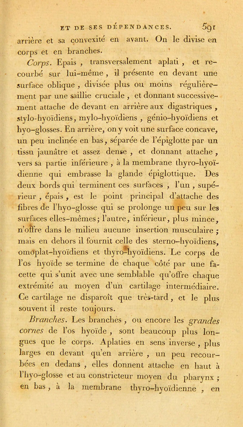 arrière et sa convexité en avant. On le divise en corps et en branches. Corps. Epais , transversalement aplati , et re- courbé sur lui-même , il présente en devant une surface oblique , divisée plus ou moins régulière- ment par une saillie cruciale , et donnant successive- ment attache de devant en arrière aux digastriques , stylo-hyoïdiens, mylo-hyoïdiens , génio-byoïdiens et hyo-glosses. En arrière, on y voit une surface concave, un peu inclinée en bas, séparée de l’épiglotte par un tissu jaunâtre et assez dense , et donnant attache , vers sa partie inférieure , à la membrane thyro-hyoï- dienne qui embrasse la glande épiglottique. Des deux bords qui terminent ces surfaces , l’un , supé- rieur , épais , est le point principal d’attache des fibres de l’hyo-glosse qui se prolonge un peu sur les surfaces elles-mêmes; l’autre, inférieur, plus mince, n’oîïre dans le milieu aucune insertion musculaire ; mais en dehors il fournit celle des sterno-hyoïdiens, omoplat-hyoïdiens et thyro-liyoïdiens. Le corps de l’os hyoïde se termine de chaque côté par une fa- cette qui s’unit avec une semblable qu’offre chaque extrémité au moyen d’un cartilage intermédiaire. Ce cartilage ne disparoît que très-tard, et le plus souvent il reste toujours. Branches. Les branches , ou encore les grandes cornes de l’os hyoïde , sont beaucoup plus lon- gues que le corps. Aplaties en sens inverse , plus larges en devant qu’en arrière , un peu recour- bées en dedans , elles donnent attache en haut à 1 hyo-glosse et au constricteur moyen du pharynx ; en bas, à la membrane thyro-hyoïdienne , en