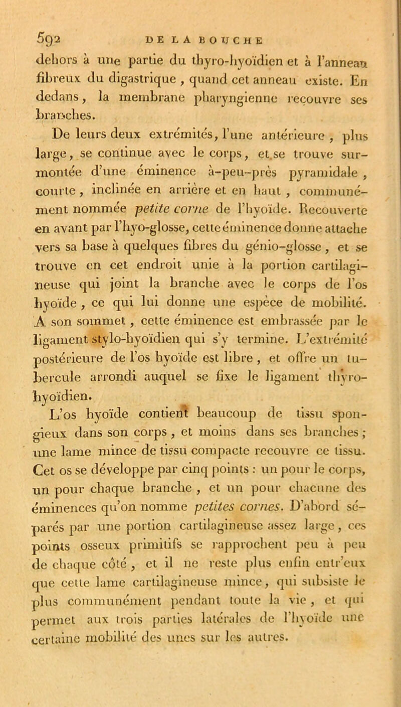 dehors à une partie du thyro-hyoïdien et à 1’annean fibreux, du digastrique , quand cet anneau existe. En dedans, la membrane pharyngienne recouvre ses branches. De leurs deux extrémités, l’une antérieure , plus large, se continue avec le corps, et.se trouve sur- montée d’une éminence à-peu-près pyramidale , courte , inclinée en arrière et en haut , communé- ment nommée petite corne de l’hyoïde. Recouverte en avant par l’hyo-glosse, cette éminence donne attache vers sa base à quelques fibres du génio-glosse , et se trouve en cet endroit unie à la portion cartilagi- neuse qui joint la branche avec le corps de l’os hyoïde , ce qui lui donne une espèce de mobilité. A son sommet , cette éminence est embrassée par le ligament stylo-hyoïdien qui s’y termine. L’extrémité postérieure de l’os hyoïde est libre , et offre un tu- bercule arrondi auquel se fixe le ligament tliÿro- hyoïdien. L’os hyoïde contient beaucoup de tissu spon- gieux dans son corps , et moins dans ses branches ; une lame mince de tissu compacte recouvre ce tissu. Cet os se développe par cinq points : un pour le corps, un pour chaque branche , et un pour chacune des éminences qu’on nomme petites cornes. D’abord sé- parés par une portion cartilagineuse assez large, ces points osseux primitifs se rapprochent peu à lieu de chaque côté , et il ne reste plus enfin enlr’eux que cette lame cartilagineuse mince, qui subsiste le plus communément pendant toute la vie , et qui permet aux trois parties latérales de l’hyoïde une certaine mobilité des unes sur les autres.