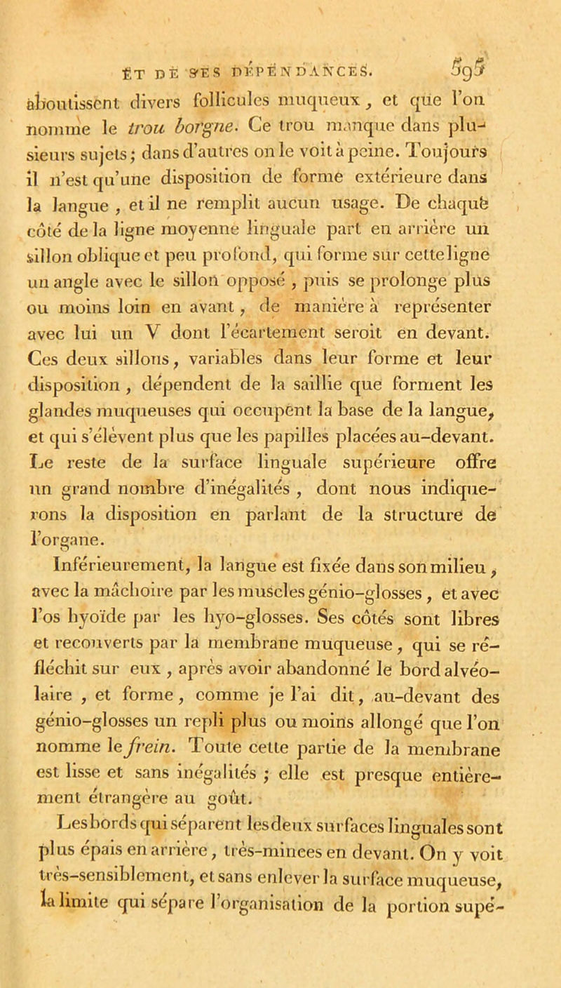 aboutissent divers follicules muqueux, et que l’on nomme le trou borgne. Ce trou manque dans plu-1 sieurs sujets; dans d’autres on le voit à peine. Toujours il n’est qu’une disposition de forme extérieure dans la langue , et il ne remplit aucun usage. De chaquè côté de la ligne moyenne linguale part en arrière un sillon obliquent peu profond, qui forme sur cetteligne un angle avec le sillon opposé , puis se prolonge plus ou moins loin en avant, de manière à représenter avec lui un V dont l’écartement seroit en devant. Ces deux sillons, variables dans leur forme et leur disposition , dépendent de la saillie que forment les glandes muqueuses qui occupent la base de la langue, et qui s’élèvent plus que les papilles placées au-devant. Le reste de la surface linguale supérieure offre un grand nombre d’inégalités , dont nous indique- rons la disposition en parlant de la structure de l’organe. Inférieurement, la langue est fixée dans son milieu, avec la mâchoire par les muSeles génio-glosses, et avec l’os hyoïde par les hyo-glosses. Ses côtés sont libres et recouverts par la membrane muqueuse, qui se ré- fléchit sur eux , après avoir abandonné le bord alvéo- laire , et forme, comme je l’ai dit, au-devant des génio-glosses un repli plus ou moins allongé que l’on nomme le frein. Toute cette partie de la membrane est lisse et sans inégalités ; elle est presque entière- ment étrangère au goût. Lesbords qui séparent lesdeux surfaces linguales sont plus épais en arrière, très-minces en devant. On y voit très—sensiblement, etsans enlever la surface muqueuse, la limite qui sépare 1 organisation de la portion supé-