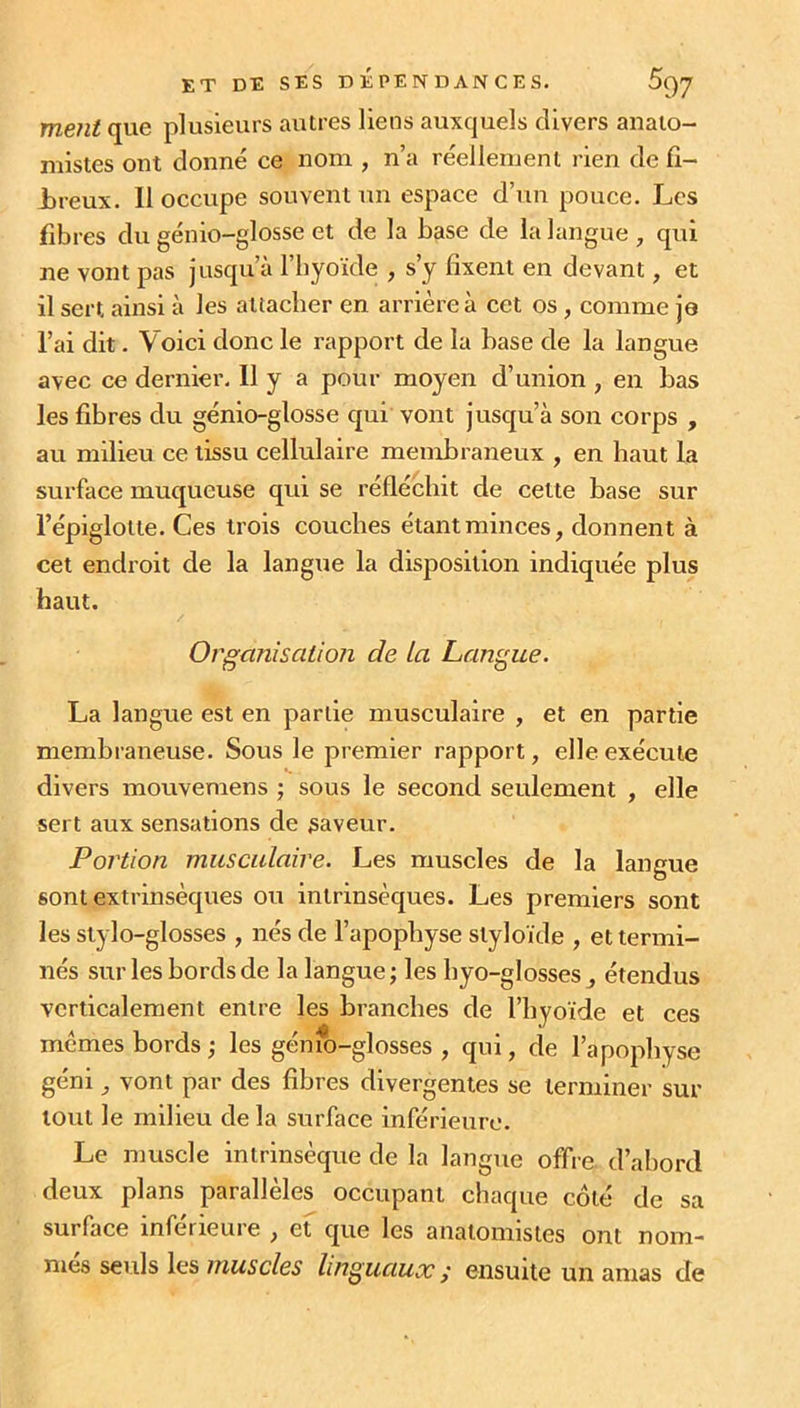 ment que plusieurs autres liens auxquels divers anato- mistes ont donné ce nom , n’a réellement rien de fi- breux. 11 occupe souvent un espace d’un pouce. Les fibres du génio-glosse et de la base de la langue , qui ne vont pas jusqu’à l’hyoïde , s’y fixent en devant, et il sert ainsi à les attacher en arrière à cet os , comme je l’ai dit. Voici donc le rapport de la base de la langue avec ce dernier. Il y a pour moyen d’union , en bas les fibres du génio-glosse qui vont jusqu’à son corps , au milieu ce tissu cellulaire membraneux , en haut la surface muqueuse qui se réfléchit de celte base sur l’épiglotte. Ces trois couches étant minces, donnent à cet endroit de la langue la disposition indiquée plus haut. Organisation de La Langue. La langue est en partie musculaire , et en partie membraneuse. Sous le premier rapport, elle exécute divers mouvemens ; sous le second seulement , elle sert aux sensations de saveur. Portion musculaire. Les muscles de la langue sont extrinsèques ou intrinsèques. Les premiers sont les stylo-glosses , nés de l’apophyse slyloïde , et termi- nés sur les bords de la langue; les hyo-glosses, étendus verticalement entre les branches de l’hyoïde et ces mêmes bords ; les génfo-glosses , qui, de l’apophyse géni, vont par des fibres divergentes se terminer sur tout le milieu de la surface inférieure. Le muscle intrinsèque de La langue offre d’abord deux plans parallèles occupant chaque côté de sa sui face inferieuie , et que les anatomistes ont nom- mes seuls les muscles linguaux ; ensuite un amas de