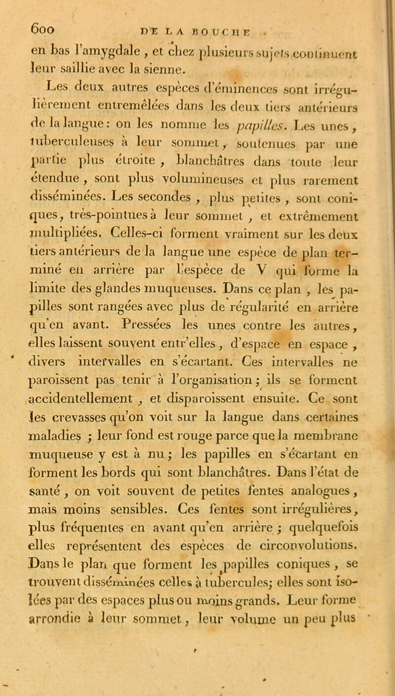 en bas 1 amygdale , et chez plusieurs sujets continuent leur saillie avec la sienne. Les deux autres espèces d’éminences sont irrégu- lièrement entremêlées dans les deux tiers antérieurs de la langue : on les nomme les papilles. Les unes , tuberculeuses a leur sommet, soutenues par une partie plus étroite , blanchâtres dans toute leur etendue , sont plus volumineuses et plus rarement disséminées. Les secondes , plus petites , sont coni- ques, tres-pomtues à leur sommet , et extrêmement multipliées. Celles-ci forment vraiment sur les deux tiers antérieurs de la langue une espèce de plan ter- miné en arrière par l’espèce de V qui formé la limite des glandes muqueuses. Dans ce plan , les pa- pilles sont rangées avec plus de régularité en arrière qu’en avant. Pressées les unes contre les autres, elles laissent souyent entre] les, d’espace en espace, divers intervalles en s’écartant. Ces intervalles ne paroissent pas tenir à l’organisation; ils se forment accidentellement , et disparoissent ensuite. Ce sont les crevasses qu’on voit sur la langue dans certaines maladies ; leur fond est rouge parce que la membrane muqueuse y est à nu ; les papilles en s’écartant en forment les bords qui sont blanchâtres. Dans l’état de santé , on voit souvent de petites fentes analogues, mais moins sensibles. Ces fentes sont irrégulières, plus fréquentes en avant qu’en arrière ; quelquefois elles représentent des espèces de circonvolutions. Dans le plan que forment les papilles coniques , se trouvent disséminées celles à tubercules; elles sont iso- lées par des espaces plus ou moins grands. Leur forme arrondie à leur sommet., leur volume un peu plus