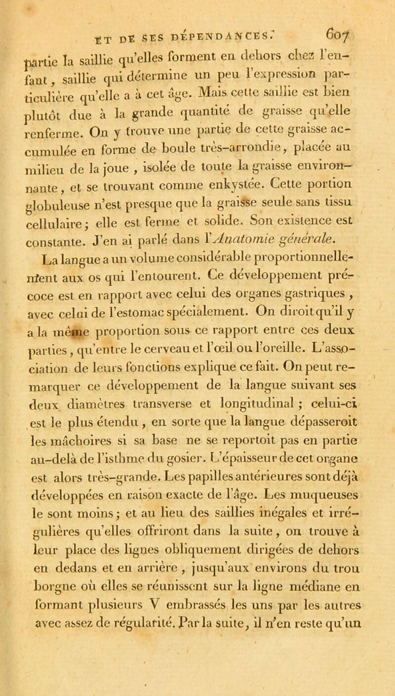 partie la saillie quelles forment en dehors chez l'en- fant , saillie qui détermine un peu l’expression par- ticulière quelle a à cet âge. Mais celle saillie est bien plutôt due à la grande quantité de graisse quelle renferme. On y trouve une partie de cette graisse ac- cumulée en forme de boule très-arrondie, placée au milieu de la joue , isolée de toute la graisse environ- nante , et se trouvant comme enkystée. Celte portion globuleuse n’est presque que la graisse seule sans tissu cellulaire j elle est ferme et solide. Son existence est constante. J’en ai parlé dans Y Anatomie générale. La langue a un volume considérable proportionnelle- nfent aux os qui l’entourent. Ce développement prér- coce est en rapport avec celui des organes gastriques , avec celui de l’estomac spécialement. On diroitqu’ily a la même proportion sous ce rapport entre ces deux parties, qu’entre le cerveau et l’œil ou l’oreille. L’asso- ciation de leurs fonctions explique ce fait. On peut re- marquer ce développement de la langue suivant ses deux diamètres transverse et longitudinal ; celui-ci est le plus étendu , en sorte que la langue dépasseroit les mâchoires si sa base ne se reportoit pas en partie au-delà de l’isthme du gosier. L’épaisseur de cet organe est alors très-grande. Les papilles antérieures sont déjà développées en raison exacte de l’âge. Les muqueuses le sont moins; et au lieu des saillies inégales et irré- gulières quelles offriront dans la suite, on trouve à leur place des lignes obliquement dirigées de dehors en dedans et en arrière , jusqu’aux environs du trou borgne où elles se réunissent sur la ligne médiane en formant plusieurs V embrassés les uns par les autres avec assez de régularité. J?arla suite, il n’en reste qu’un