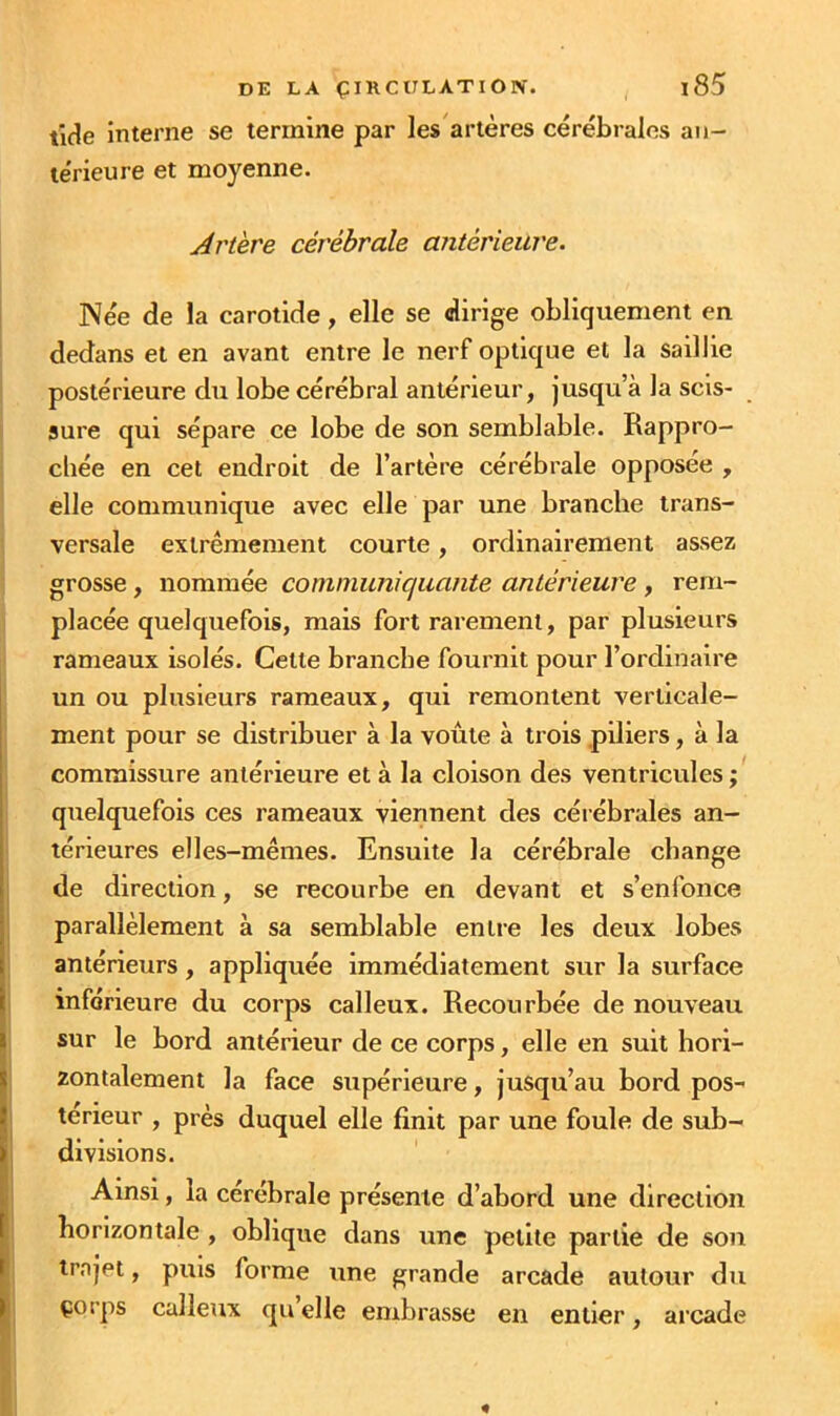 tlde interne se termine par les artères cérébrales an- térieure et moyenne. Artère cérébrale antérieure. I Née de la carotide, elle se dirige obliquement en dedans et en avant entre le nerf optique et la saillie ! postérieure du lobe cérébral antérieur, jusqu’à la scis- sure qui sépare ce lobe de son semblable. Rappro- chée en cet endroit de l’artère cérébrale opposée , elle communique avec elle par une branche trans- versale extrêmement courte, ordinairement assez grosse, nommée communiquante antérieure , rem- placée quelquefois, mais fort rarement, par plusieurs rameaux isolés. Cette branche fournit pour l’ordinaire un ou plusieurs rameaux, qui remontent verticale- ment pour se distribuer à la voûte à trois piliers, à la commissure antérieure et à la cloison des ventricules ; quelquefois ces rameaux viennent des cérébrales an- térieures elles-mêmes. Ensuite la cérébrale change de direction, se recourbe en devant et s’enfonce parallèlement à sa semblable entre les deux lobes antérieurs, appliquée immédiatement sur la surface inférieure du corps calleux. Recourbée de nouveau sur le bord antérieur de ce corps, elle en suit hori- zontalement la face supérieure, jusqu’au bord pos- ^ terieur , près duquel elle finit par une foule de sub- 1 divisions. Ainsi, la cérébrale présente d’abord une direction horizontale , oblique dans une petite partie de son trajet, puis forme une grande arcade autour du j çorps calleux qu elle embrasse en entier, arcade