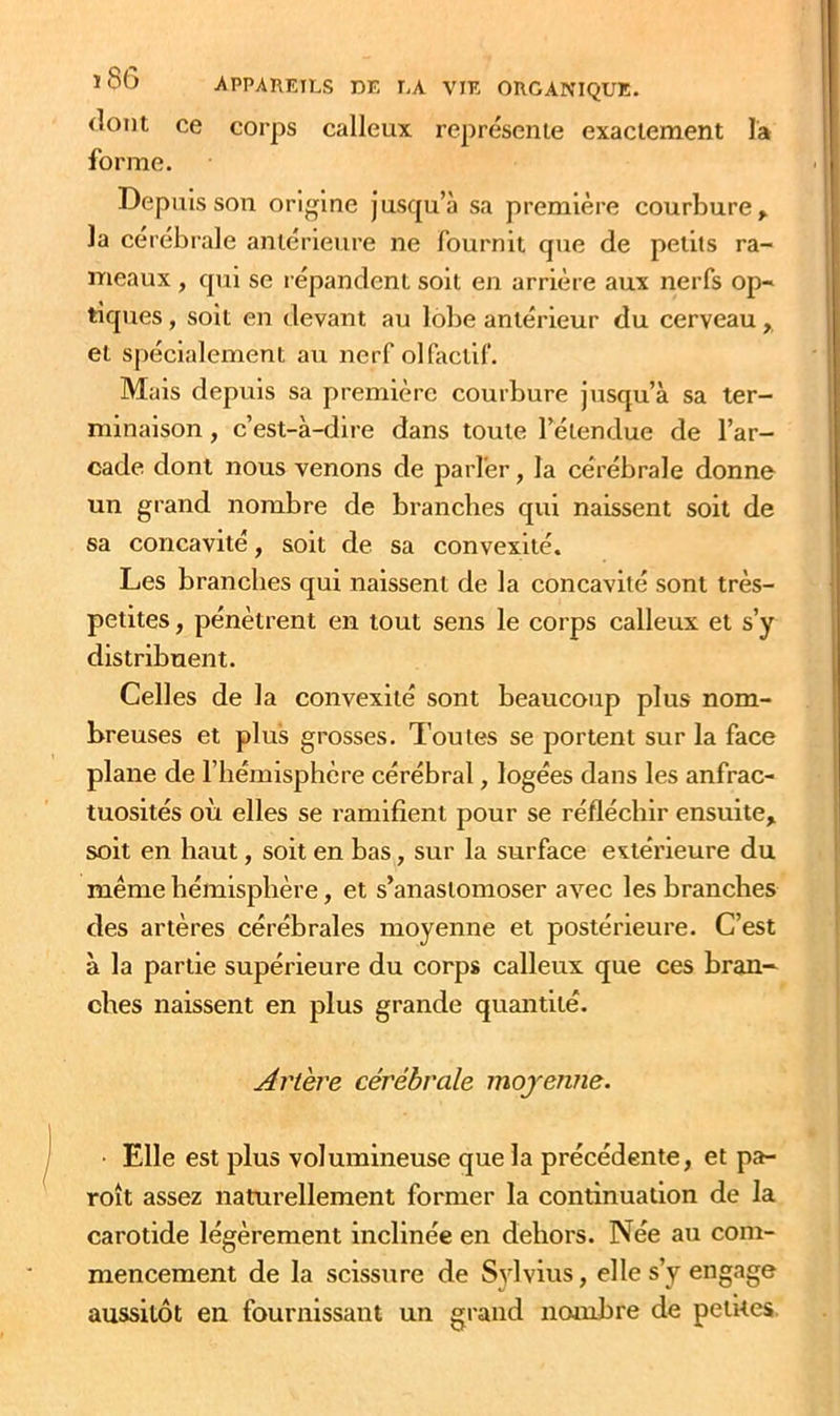 dont ce corps calleux représente exactement la forme. Depuis son origine jusqu’à sa première courbure^ la cérébrale antérieure ne fournit que de petits ra- nieaux , qui se répandent soit en arrière aux nerfs op- tiques , soit en devant au lobe antérieur du cerveau, et spécialement au nerf olfactif. Mais depuis sa première courbure jusqu’à sa ter- minaison , c’est-à-dire dans toute l’étendue de l’ar- cade dont nous venons de parler, la cérébrale donne un grand nombre de branches qui naissent soit de sa concavité, soit de sa convexité. Les branches qui naissent de la concavité sont très- petites , pénètrent en tout sens le corps calleux et s’y distribuent. Celles de la convexité sont beaucoup plus nom- breuses et plus grosses. Toutes se portent sur la face plane de l’hémisphère cérébral, logées dans les anfrac- tuosités où elles se ramifient pour se réfléchir ensuite, soit en haut, soit en bas, sur la surface extérieure du même hémisphère, et s’anastomoser avec les branches des artères cérébrales moyenne et postérieure. C’est à la partie supérieure du corps calleux que ces bran- ches naissent en plus grande quantité. Artère cérébrale moyenne. • Elle est plus volumineuse que la précédente, et pa- roît assez naturellement former la continuation de la carotide légèrement inclinée en dehors. Née au com- mencement de la scissure de Sj'lvius, elle s’y engage aussitôt en fournissant un grand nombre de petites.