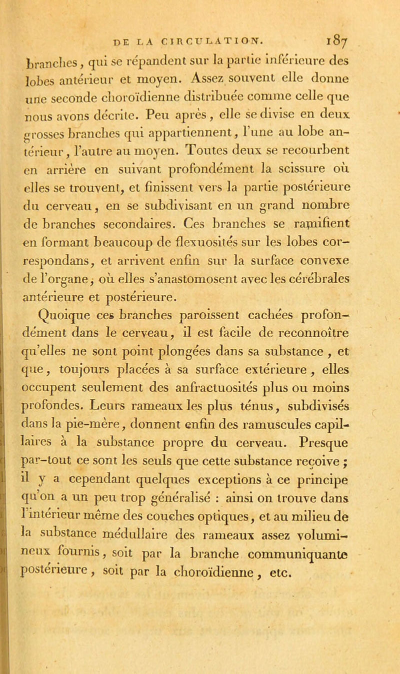 de T, A cm CUINAT ION. I 87 branches, qui se répandent sur la partie inférieure des lobes antérieur et moyen. Assez souvent elle donne une seconde clioroïdienne distribuée comme celle que nous avons décrite. Peu après, elle se divise en deux grosses branches qui appartiennent, l’une au lobe an- térieur, l’autre au moyen. Toutes deux se recourbent en arrière en suivant profondément la scissure oii elles se trouvent, et finissent vers la partie postérieure du cerveau, en se subdivisant en un grand nombre de branches secondaires. Ces branches se ratuifient en formant beaucoup de flexuosités sur les lobes cor- respondans, et arrivent enfin sur la surface convexe de l’organe j où elles s’anastomosent avec les cérébrales antérieure et postérieure. Quoique ces branches paroissent cachées profon- dément dans le cerveau, il est facile de reconnoître qu’elles ne sont point plongées dans sa substance , et que, toujours placées à sa surface extérieure, elles occupent seulement des anfractuosités plus ou moins profondes. Leurs rameaux les plus ténus, subdivisés dans la pie-mère, donnent enfin des ramuscules capil- laires à la substance propre du cerveau. Presque par-tout ce sont les seuls que celte substance reçoive ; il y a cependant quelques exceptions à ce principe qu’on a un peu trop généralisé : ainsi on trouve dans 1 intérieur même des couches optiques, et au milieu de la substance médullaire des rameaux assez volumi- neux fournis, soit par la branche communiquante postérieure, soit par la clioroïdienne, etc.