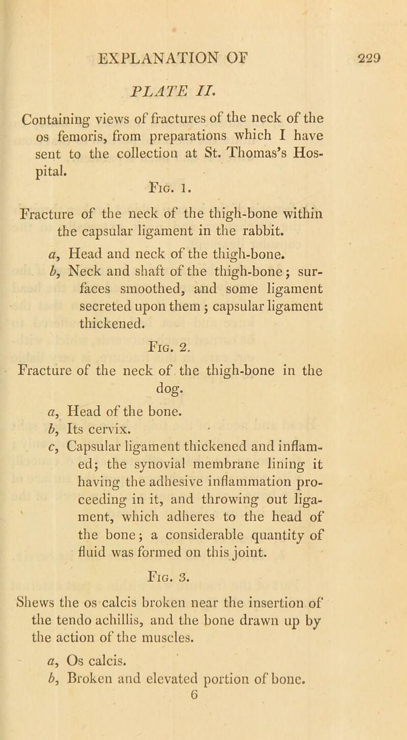 PLATE II. Containing views of fractures of the neck of the os femoris, from preparations which I have sent to the collection at St. Thomas’s Hos- pital. Fig. 1. Fracture of the neck of the thigh-bone within the capsular ligament in the rabbit. a, Head and neck of the thigh-bone. b, Neck and shaft of the thigh-bone ; sur- faces smoothed, and some ligament secreted upon them ; capsular ligament thickened. Fig. 2. Fracture of the neck of the thigh-bone in the dog. a, Head of the bone. b, Its cervix. c, Capsular ligament thickened and inflam- ed; the synovial membrane lining it having the adhesive inflammation pro- ceeding in it, and throwing out liga- ment, which adheres to the head of the bone; a considerable quantity of fluid was formed on this joint. Fig. 3. Shews the os calcis broken near the insertion of the tendo achillis, and the bone drawn up by the action of the muscles. a, Os calcis. b, Broken and elevated portion of bone. 6