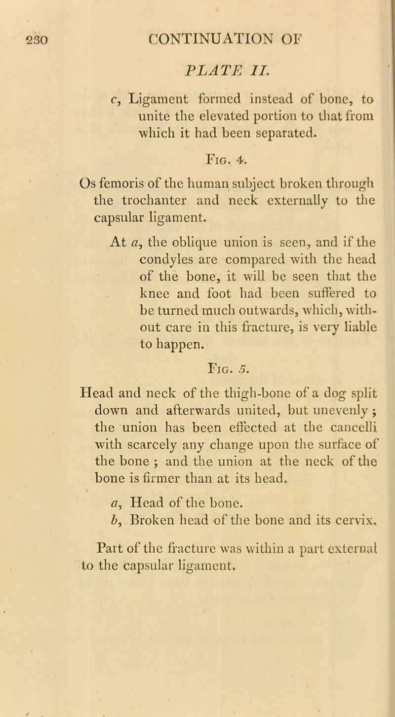 PLATE II. c, Ligament formed instead of bone, to unite the elevated portion to that from which it had been separated. Fig. 4. Os femoris of the human subject broken through the trochanter and neck externally to the capsular ligament. At a, the oblique union is seen, and if the condyles are compared with the head of the bone, it will be seen that the knee and foot had been suffered to be turned much outwards, which, with- out care in this fracture, is very liable to happen. Fig. .5. Head and neck of the thigh-bone of a dog split down and afterwards united, but unevenly ; the union has been effected at the cancelli with scarcely any change upon the surface of the bone ; and the union at the neck of the bone is firmer than at its head. a, Head of the bone. b, Broken head of the bone and its cervix. Part of the fracture was within a part external to the capsular ligament.