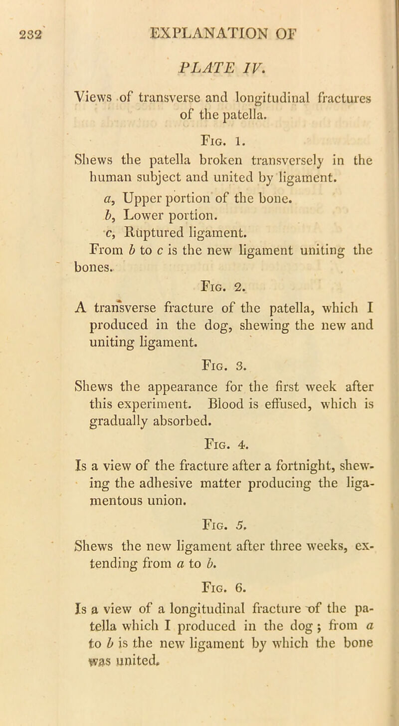 PLATE IV. Views of transverse and longitudinal fractures of the patella. Fig. 1. Shews the patella broken transversely in the human subject and united by ligament. a, Upper portion of the bone. b, Lower portion. c, Ruptured ligament. From b to c is the new7 ligament uniting the bones. Fig. 2. A transverse fracture of the patella, which I produced in the dog, shewing the new and uniting ligament. Fig. 3. Shews the appearance for the first week after this experiment. Blood is effused, which is gradually absorbed. Fig. 4. Is a view of the fracture after a fortnight, shew- ing the adhesive matter producing the liga- mentous union. Fig. 5. Shews the new ligament after three wTeeks, ex- tending from a to b. Fig. 6. Is a view of a longitudinal fracture xif the pa- tella which I produced in the dog ; from a to b is the new ligament by which the bone was united.