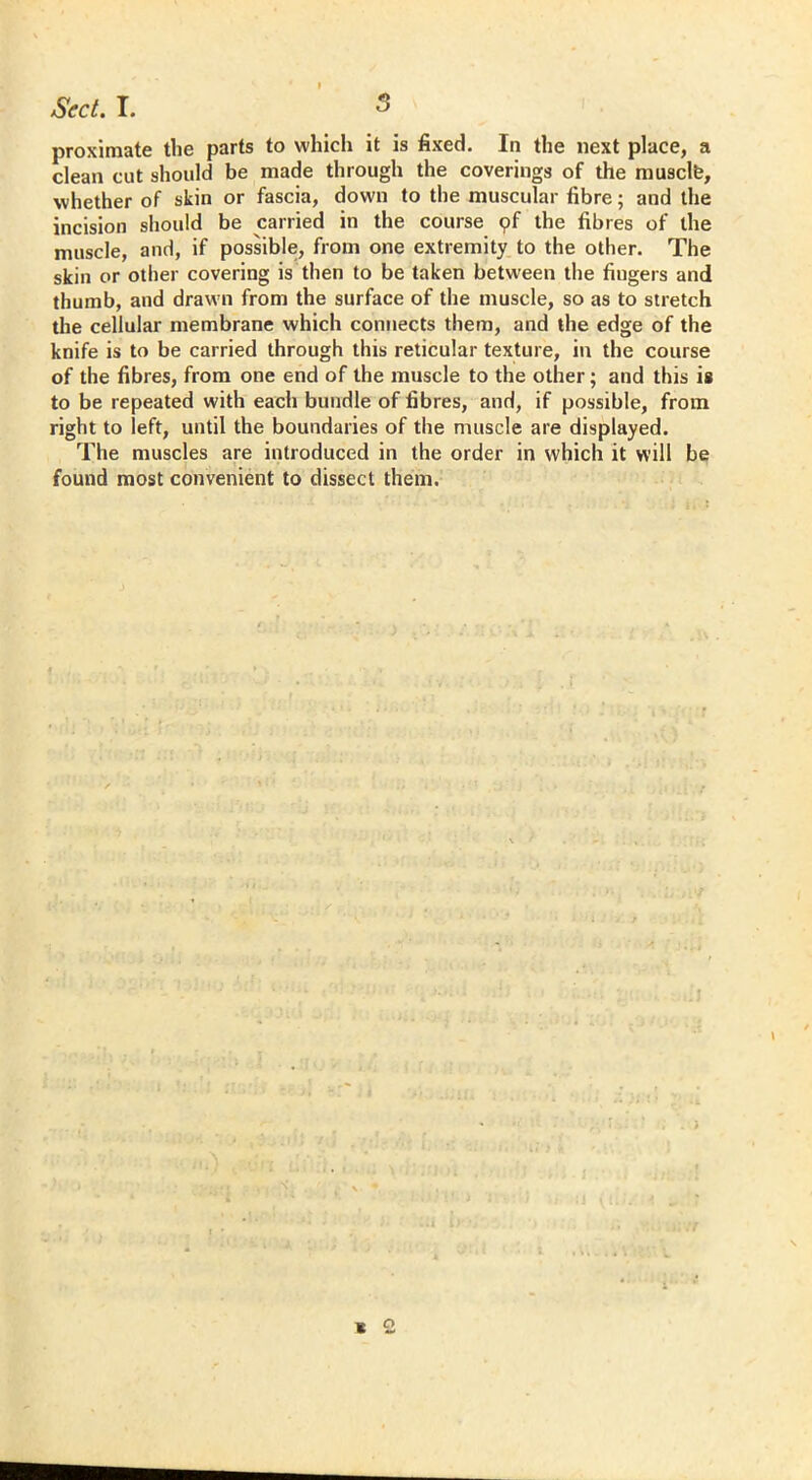 proximate the parts to which it is fixed. In the next place, a clean cut should be made through the coverings of the musclfe, whether of skin or fascia, down to the muscular fibre; and the incision should be carried in the course pf the fibres of the muscle, and, if possible, from one extremity to the other. The skin or other covering is then to be taken between the fingers and thumb, and drawn from the surface of the muscle, so as to stretch the cellular membrane which connects them, and the edge of the knife is to be carried through this reticular texture, in the course of the fibres, from one end of the muscle to the other; and this is to be repeated with each bundle of fibres, and, if possible, from right to left, until the boundaries of the muscle are displayed. The muscles are introduced in the order in which it will be found most convenient to dissect them. « 2