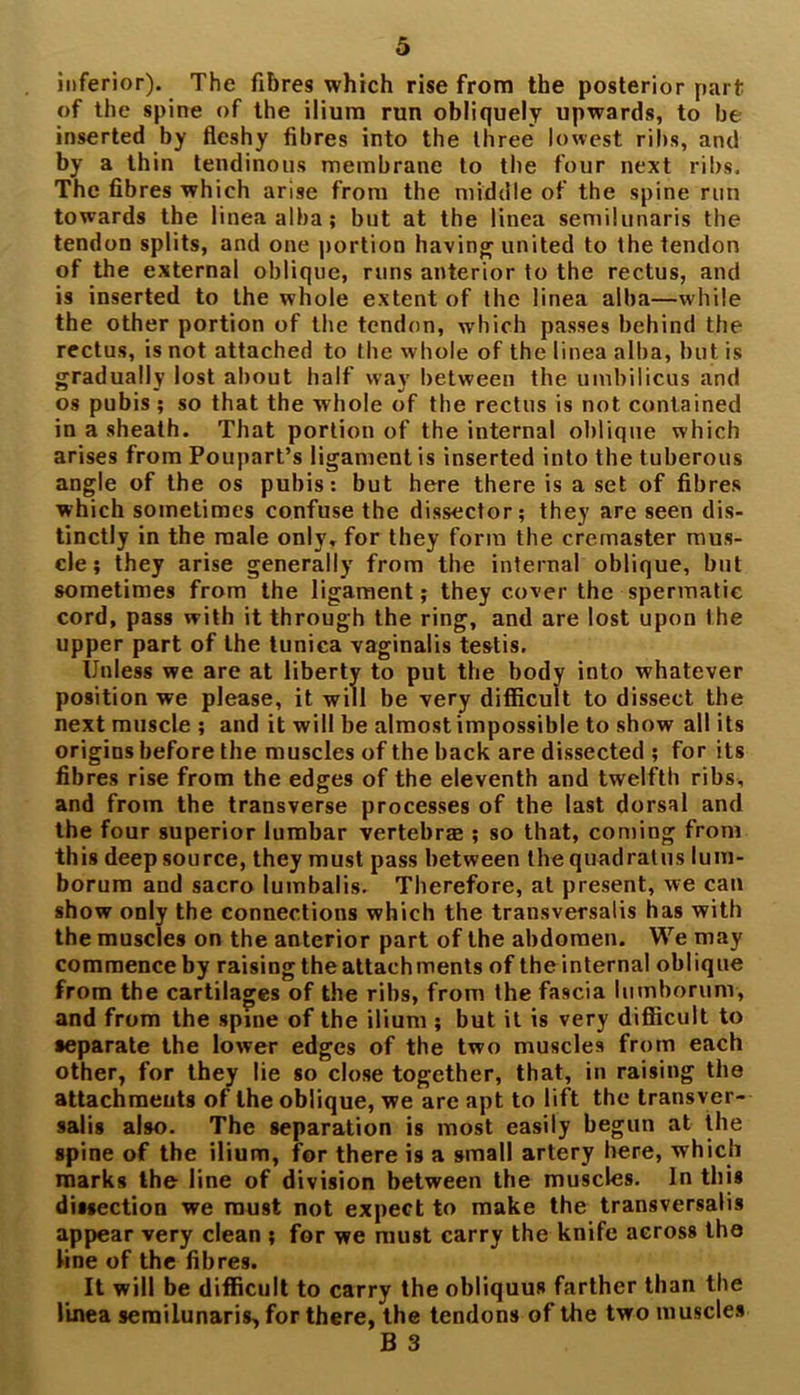 inferior). The fibres which rise from the posterior part of the spine of the ilium run obliquely upwards, to be inserted by fleshy fibres into the three lowest ribs, and by a thin tendinous membrane to the four next ribs. The fibres which arise from the middle of the spine run towards the linea alba; but at the linea semilunaris the tendon splits, and one portion having united to the tendon of the external oblique, runs anterior to the rectus, and is inserted to the whole extent of the linea alba—while the other portion of the tendon, which passes behind the rectus, is not attached to the whole of the linea alha, but is gradually lost about half way between the umbilicus and os pubis ; so that the whole of the rectus is not contained in a sheath. That portion of the internal oblique which arises from Poupart’s ligament is inserted into the tuberous angle of the os pubis: but here there is a set of fibres which sometimes confuse the dissector; they are seen dis- tinctly in the male only, for they form the cremaster mus- cle; they arise generally from the internal oblique, but sometimes from the ligament; they cover the spermatic cord, pass with it through the ring, and are lost upon the upper part of the tunica vaginalis testis. Unless we are at liberty to put the body into whatever position we please, it will be very difficult to dissect the next muscle ; and it will be almost impossible to show all its origins before the muscles of the back are dissected ; for its fibres rise from the edges of the eleventh and twelfth ribs, and from the transverse processes of the last dorsal and the four superior lumbar vertebra ; so that, coming from this deep source, they must pass between the quadratus lum- borura and sacro lumbalis. Therefore, at present, we can show only the connections which the trausversalis has with the muscles on the anterior part of the abdomen. We may commence by raising the attachments of the internal oblique from the cartilages of the ribs, from the fascia lumborum, and from the spine of the ilium ; but it is very difficult to separate the lower edges of the two muscles from each other, for they lie so close together, that, in raising the attachments of the oblique, we are apt to lift the transver- sals also. The separation is most easily begun at the spine of the ilium, for there is a small artery here, which marks the line of division between the muscles. In this dissection we must not expect to make the transversalis appear very clean ; for we must carry the knife across the tine of the fibres. It will be difficult to carry the obliquus farther than the linea semilunaris, for there, the tendons of the two muscles