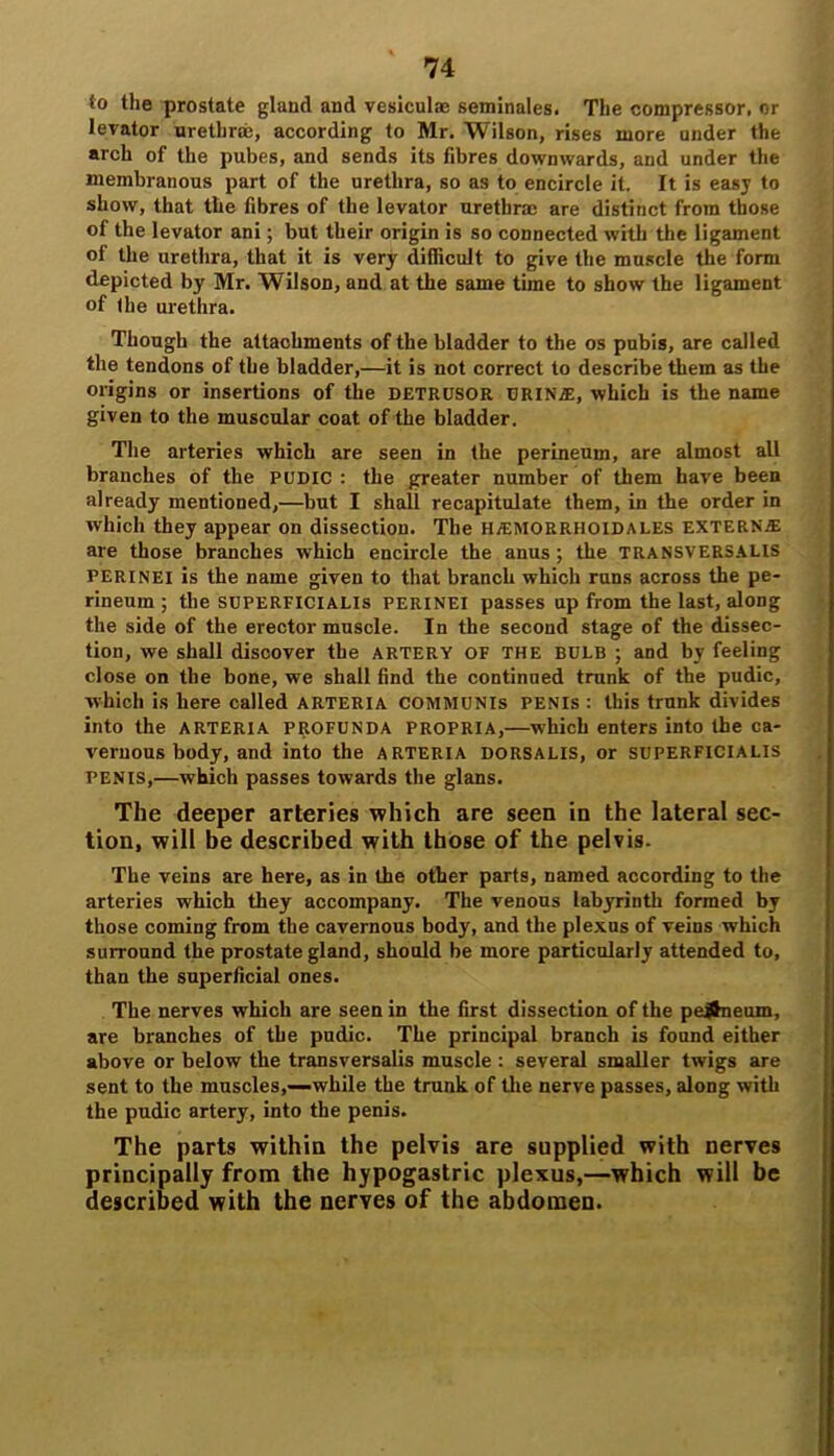 to the prostate gland and vesicula; seminales. The compressor, or levator urethroe, according to Mr. Wilson, rises more under the arch of the pubes, and sends its fibres downwards, and under the membranous part of the urethra, so as to encircle it. It is easy to show, that the fibres of the levator urethrae are distinct from those of the levator ani; but their origin is so connected with the ligament of the urethra, that it is very difficult to give the muscle the form depicted by Mr. Wilson, and at the same time to show the ligament of the urethra. Though the attachments of the bladder to the os pubis, are called the tendons of the bladder,—it is not correct to describe them as the origins or insertions of the DETRUSOR URINjE, which is the name given to the muscular coat of the bladder. The arteries which are seen in the perineum, are almost all branches of the PUDIC : the greater number of them have been already mentioned,—but I shall recapitulate them, in the order in which they appear on dissection. The HjEMORRHOIDALES externa are those branches which encircle the anus; the transversalis perinei is the name given to that branch which runs across the pe- rineum ; the SUPERFICIALls PERINEI passes up from the last, along the side of the erector muscle. In the second stage of the dissec- tion, we shall discover the artery of the bulb ; and by feeling close on the bone, we shall find the continued trunk of the pudic, which is here called arteria communis penis : this trunk divides into the arteria profunda propria,—which enters into the ca- vernous body, and into the arteria dorsalis, or superficialis PENIS,—which passes towards the glans. The deeper arteries which are seen in the lateral sec- tion, will be described with those of the pelvis. The veins are here, as in the other parts, named according to the arteries which they accompany. The venous labyrinth formed by those coming from the cavernous body, and the plexus of veins which surround the prostate gland, should be more particularly attended to, than the superficial ones. The nerves which are seen in the first dissection of the pejJneum, are branches of the pudic. The principal branch is found either above or below the transversalis muscle : several smaller twigs are sent to the muscles,—-while the trunk of the nerve passes, along with the pudic artery, into the penis. The parts within the pelvis are supplied with nerves principally from the hypogastric plexus,—which will be described with the nerves of the abdomen.