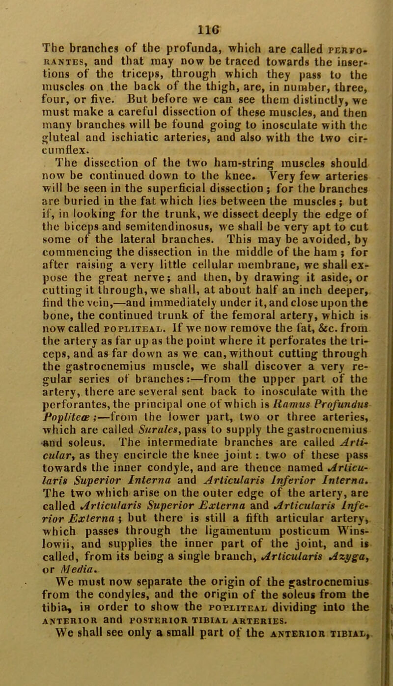 The branches of the profunda, which are called perpo- rantes, and that may now he traced towards the inser- tions of the triceps, through which they pass to the muscles on the back of the thigh, are, in number, three, four, or five. But before we can see them distinctly, we must make a careful dissection of these muscles, and then many branches will be found going to inosculate with the gluteal and ischiatic arteries, and also with the two cir- cumflex. The dissection of the two ham-string muscles should now be continued down to the knee. Very few arteries will be seen in the superficial dissection ; for the branches are buried in the fat which lies between the muscles; but if, in looking for the trunk, we dissect deeply the edge of the biceps and semitendinosus, we shall be very apt to cut some of the lateral branches. This may be avoided, by commencing the dissection in the middle of the ham ; for after raising a very little cellular membrane, we shall ex- pose the great nerve; and Lhen, by drawing it aside, or cutting it through, we shall, at about half an inch deeper, find the vein,—and immediately under it, and close upon the bone, the continued trunk of the femoral artery, which is now called popliteal. If we now remove the fat, Sec. from the artery as far up as the point where it perforates the tri- ceps, and as far down as we can, without cutting through the gastrocnemius muscle, we shall discover a very re- gular series of branches:—from the upper part of the artery, there are several sent back to inosculate with the perforantes, the principal one of which is Ramus Profundus Popliteal;—from the low'er part, two or three arteries, which are called Surales, pass to supply the gastrocnemius anti soleus. The intermediate branches are called Arti- cular, as they encircle the knee joint: two of these pass towards the inner condyle, and are thence named Arlicu- laris Superior Interna and Articularis Inferior Interna. The two which arise on the outer edge of the artery, are called Articularis Superior Externa and Articularis Infe- rior Externa ; but there is still a fifth articular artery, which passes through the ligamentum posticum Wins- lowii, and supplies the inner part of the joint, and is called, from its being a single branch, Articularis Azyga, or Media. We must now separate the origin of the gastrocnemius from the condyles, and the origin of the soleus from the tibia, in order to show the popliteal dividing into the ANTERIOR and POSTERIOR TIBIAL ARTERIES. We shall see only a small part of the anterior tibial,