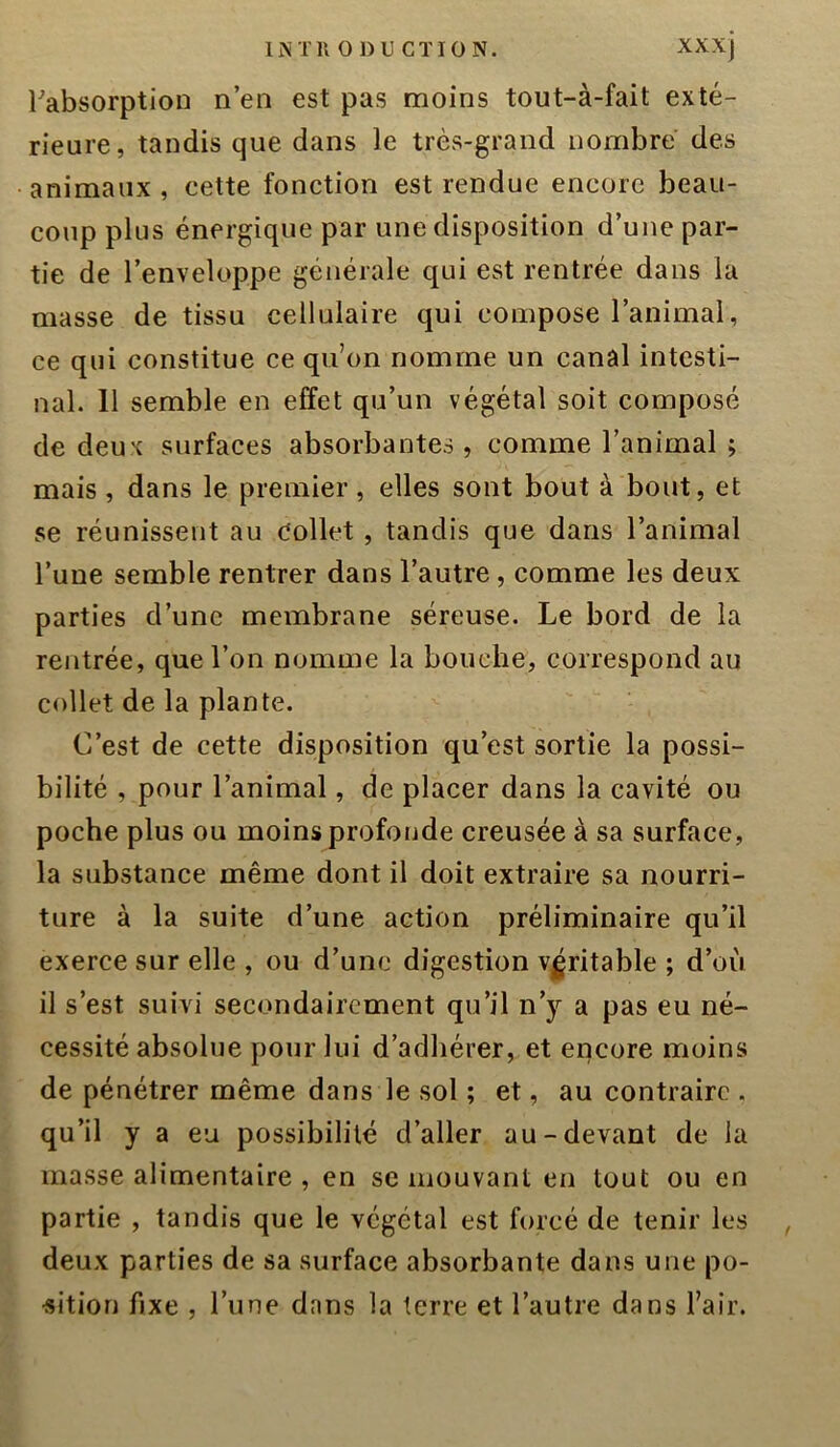 ^absorption n’en est pas moins tout-à-fait exté- rieure, tandis que dans le très-grand nombre des animaux , cette fonction est rendue encore beau- coup plus énergique par une disposition d’une par- tie de l’enveloppe générale qui est rentrée dans la masse de tissu cellulaire qui compose l’animal, ce qui constitue ce qu’on nomme un canal intesti- nal. Il semble en effet qu’un végétal soit composé de deux surfaces absorbantes, comme l’animal ; mais, dans le premier, elles sont bout à bout, et se réunissent au Collet, tandis que dans l’animal l’une semble rentrer dans l’autre, comme les deux parties d’une membrane séreuse. Le bord de la rentrée, que l’on nomme la bouche, correspond au collet de la plante. C’est de cette disposition qu’est sortie la possi- bilité , pour l’animal, de placer dans la cavité ou poche plus ou moins profonde creusée à sa surface, la substance même dont il doit extraire sa nourri- ture à la suite d’une action préliminaire qu’il exerce sur elle , ou d’une digestion Vjgritable ; d’où il s’est suivi secondairement qu’il n’y a pas eu né- cessité absolue pour lui d’adhérer, et encore moins de pénétrer même dans le sol ; et, au contraire . qu’il y a eu possibilité d’aller au-devant de la masse alimentaire , en se mouvant en tout ou en partie , tandis que le végétal est forcé de tenir les deux parties de sa surface absorbante dans une po- •sition fixe , l’une dans la terre et l’autre dans l’air.