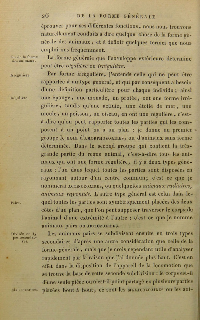 Ou tle la forme (le.s animaux. Im-gulière. Régulière. l’aire. Divisée en ly- j)cs secoiulai- rcs. J'Ialaconoaires. 26 I>E LA FORME GENERALE éprouver pour ses diflcrenles fonctions, nous nous trouvons naturellement conduits é dire quelque chose de la forme gé- nérale des animaux, et définir quelques termes que nous cmploîrons fréquemment. La forme générale que l’enveloppe extérieure détermine peut être régulière ou irrégulière. Par fortne irrégulière, j’entends celle qui ne peut être rapportée à un type général, et qui par conséquent a besoin d’une définition particulière pour chaque individu; ainsi une éponge, une monade, un protée, ont une forme irré- gulière, tandis qu’une actinie, une étoile de mer, une moule, un poisson , un oiseau, en ont une régulière, c’est- é-dire qu’on peut rapporter toutes les parties qui les com- posent à un point ou à un plan : je donne au premier v groupe le nom d’AMORPHOzoaires, ou d’animaux sans forme déterminée. Dans le secor^d groupe qui contient la très- grande partie du règne animal, c’est-à-dire tous les ani- maux qui ont une forme régulière, il y a deux types géné- raux ; l’un dans lequel toutes les parties sont disposées en rayonnant autour d’un centre commun; c’est ce que je nommerai actinozoaires, ou quelquefois animaux racliaires, animaux rayonnés. L’autre type général est celui dans le- quel toutes les parties sont symétriquement placées des deux côtés d’un plan, que l’on peut supposer traverser le corps de l’animal d’une extrémité à l’autre : c’est ce que je nomme animaux pairs ou artiozoaires. Les animaux pairs se subdivisent ensuite en trois types secondaires d’après une autre considération que celle de la forme générale, mais que je crois cependant utile d’analyser rapidement par la raison que j’ai donnée plus haut. C’est en effet dans la disposition do l’appareil de la locomotion que se trouve la base de cette seconde subdivision : le corps est-il d’une seule pièce ou n’est-il point partagé en plusieurs parties placées bout à bout, ce sont les malacozoaires ou les ani-