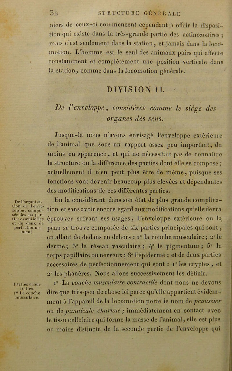 De l'organisa- lion de l'enve- loppe, compo- sée des six par- ties esseuliellcs et de deux de perfeclionne- menl. Parties essen- liidles. i” lai couche musculaire. 7)2 STRUCTURE GÉNÉRALE nicrs de ceux-ci coiumcnccnt cependant h offrir la disposi- tion qui existe dans la très-grande partie des aelinozoaires ; mais c’est seulement dans la station, et jamais dans la loco- motion. L’homme est le seul des animaux pairs qui affecte coustarnment et complètement une position verticale dans la station, comme dans la locomotion générale. DIVISION IL ' De l’enveloppeconsidérée comme le siège des organes des sens. Jusque-là nous n’avons envisagé l’enveloppe extérieure de l’animal que sous un rapport assez peu important, du moins en apparence, et qui ne nécessitait pas de connaître la structure ou la différence des parties dont elle se compose; actuellement il n’en peut plus être de même, puisque ses fonctions vont devenir beaucoup plus élevées et dépendantes des modifications de ces différentes parties. En la considérant dans son état de plus grande complica- tion et sans avoir encore égard aux modifications qu’elle devra éprouver suivant ses usages, l’enveloppe extérieure ou la peau se trouve composée de six parties principales qui sont, en allant de dedans en dehors : i“ la couche musculaire; 2”le derme; 5° le réseau vasculaire; 4° pigmentum ; 5“ le corps papillaire ou nerveux; 6° l’épiderme ; et de deux parties accessoires de perfectionnement qui sont : i“les cryptes, et 2“ les phanéres. Nous allons successivement les définir. i La couche musculaire contractile dont nous ne devons dire que très-peu de chose ici parce qu’elle appartient évidem- ment à l’appareil de la locomotion porte le nom de peaussier nu de pannicule charnue -, immédiatement en contact avec le tissu cellulaire qui forme la masse de l’animal, elle est plus ou moins dislinclc de la seconde partie de l’enveloppe qui