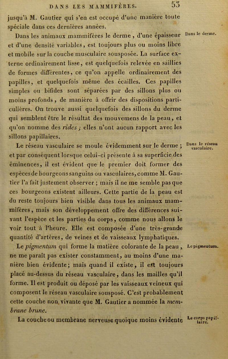 jusqu’à M. Gautier qui s’en est occupé d’une manière toute spéciale dans ces dernières années. Dans les animaux mammifères le derme , d’une épaisseur Dansic deme. et d’une densité variables, est toujours plus ou moins libre ^ et mobile sur la couche musculaire sousposée. La surface ex- terne ordinairement lisse, est quelquefois relevée en saillies de formes différentes, ce qu’on appelle ordinairement des papilles, et quelquefois même des écailles. Ces papilles simples ou bifides sont séparées par des sillons plus ou moins profonds, de manière à offrir des dispositions parti- culières. On trouve aussi quelquefois des sillons du derme qui semblent être le résultat des mouvemens de la peau, et qu’on nomme des rides } elles n’ont aucun rapport avec les sillons papillaires. Le réseau vasculaire se moule évidemment sur le derme ; °®ascuiaireT^ et par conséquent lorsque celui-ci présente à sa superficie des éminences, il est évident que le premier doit former des espècesde bourgeonssanguins ou vasculaires,comme M. Gau- tier l’a fait justement observer ; mais il ne me semble pas que ces bourgeons existent ailleurs. Cette partie de la peau est du reste toujours bien visible dans tous les animaux mam- mifères , mais son développement offre des différences sui- vant l’espèce et les parties du corps, comme nous allons le voir tout à l’heure. Elle est composée d’une très-grande quantité d’artères, de veines et de vaisseaux lymphatiques, Le pigmentum qui forme la matière colorante de la peau , LepigmeDium. ne me paraît pas exister constamment, au moins d’une ma- nière bien évidente; mais quand il existe, il est toujours placé au-dessus du réseau vasculaire, dans les mailles qu’il forme. Il est produit ou déposé par les vaisseaux veineux qui composent le réseau vasculaire sousposé. C’est probablement cette couche non, vivante que M. Gautier a nommée la mem- brane brune. La couche ou membrane nerveuse quoique moins évidente