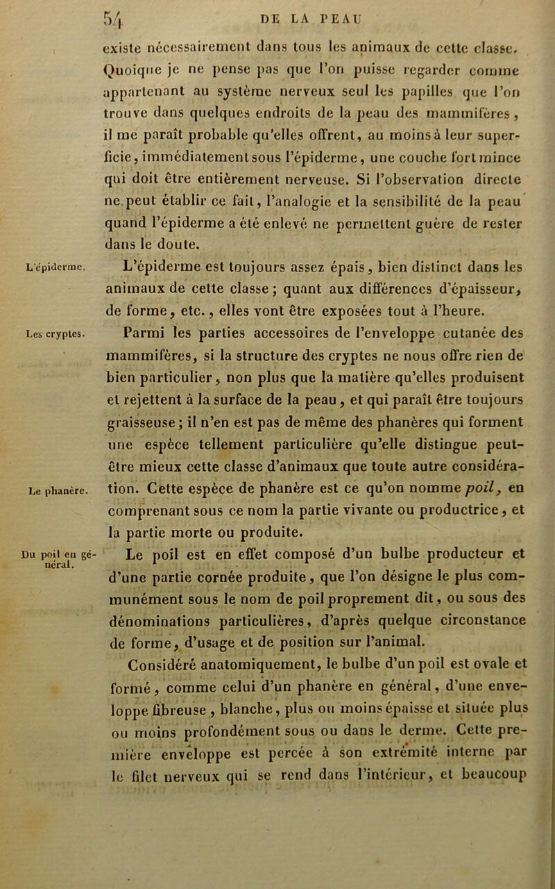 L'cpiderrae. Les cryptes. Le phanère. Du poil en gé néral. existe nécessairement dans tous les animaux de cette classe. Quoique je ne pense pas que l’on puisse regarder comme appartenant au système nerveux seul les papilles que l’on trouve dans quelques endroits de la peau des mammifères, il me paraît probable qu’elles offrent, au moins à leur super- ficie, immédiatement sous l’épiderme, une couche fort mince qui doit être entièrement nerveuse. Si l’observation directe ne,peut établir ce fait, l’analogie et la sensibilité de la peau quand l’épiderme a été enlevé ne permettent guère de rester dans le doute. L’épiderme est toujours assez épais, bien distinct dans les animaux de cette classe ; quant aux différences d’épaisseur, de forme, etc., elles vont être exposées tout à l’heure. Parmi les parties accessoires de l’enveloppe cutanée des mammifères, si la structure des cryptes ne nous offre rien de bien particulier, non plus que la matière qu’elles produisent et rejettent à la surface de la peau, et qui paraît être toujours graisseuse; il n’en est pas de même des phanères qui forment une espèce tellement particulière qu’elle distingue peut- être mieux cette classe d’animaux que toute autre considéra- tion. Cette espèce de phanère est ce qu’on nomme poil, en comprenant sous ce nom la partie vivante ou productrice, et la partie morte ou produite. Le poil est en effet composé d’un bulbe producteur et d’une partie cornée produite, que l’on désigne le plus com- munément sous le nom de poil proprement dit , ou sous des dénominations particulières, d’après quelque circonstance de forme, d’usage et de position sur l’animal. Considéré anatomiquement, le bulbe d’un poil est ovale et formé, comme celui id’un phanère en général, d’une enve- loppe fibreuse , blanche, plus ou moins épaisse et située plus ou moins profondément sous ou dans le derme. Cette pre- mière enveloppe est percée à son extrémité interne par le filet nerveux qui se rend dans l’intérieur, et beaucoup