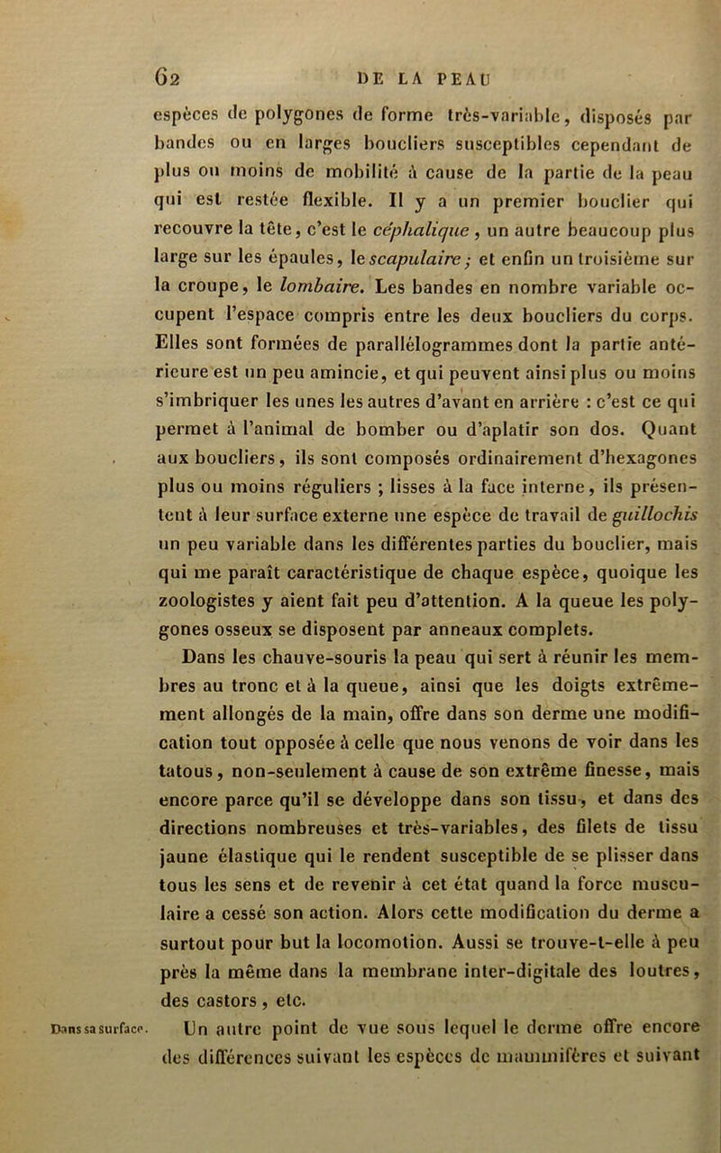 Dans sa surface. espèces de polygones de forme très-variable, disposés par bandes ou en larges boucliers susceptibles cependant de plus ou moins de mobilité A cause de la partie de la peau qui est restée flexible. Il y a un premier bouclier qui recouvre la tête, c’est le céphalique , un autre beaucoup plus large sur les épaules, \e scapulaire ; et enfin un troisième sur la croupe, le lombaire. Les bandes en nombre variable oc- cupent l’espace compris entre les deux boucliers du corps. Elles sont formées de parallélogrammes dont la partie anté- rieure est un peu amincie, et qui peuvent ainsi plus ou moins s’imbriquer les unes les autres d’avant en arrière : c’est ce qui permet à l’animal de bomber ou d’aplatir son dos. Quant aux boucliers, ils sont composés ordinairement d’hexagones plus ou moins réguliers ; lisses à la face interne, ils présen- tent à leur surface externe une espèce de travail de guillochis un peu variable dans les différentes parties du bouclier, mais qui me paraît caractéristique de chaque espèce, quoique les zoologistes y aient fait peu d’attention. A la queue les poly- gones osseux se disposent par anneaux complets. Dans les chauve-souris la peau qui sert à réunir les mem- bres au tronc et à la queue, ainsi que les doigts extrême- ment allongés de la main, offre dans son derme une modifi- cation tout opposée à celle que nous venons de voir dans les tatous, non-seulement à cause de son extrême finesse, mais encore parce qu’il se développe dans son tissu , et dans des directions nombreuses et très-variables, des filets de tissu jaune élastique qui le rendent susceptible de se plisser dans tous les sens et de revenir à cet état quand la force muscu- laire a cessé son action. Alors cette modification du derme a surtout pour but la locomotion. Aussi se trouve-t-elle à peu près la même dans la membrane inter-digitale des loutres, des castors, etc. Un autre point de vue sous lequel le derme offre encore dos différences suivant les espèces de mammifères et suivant