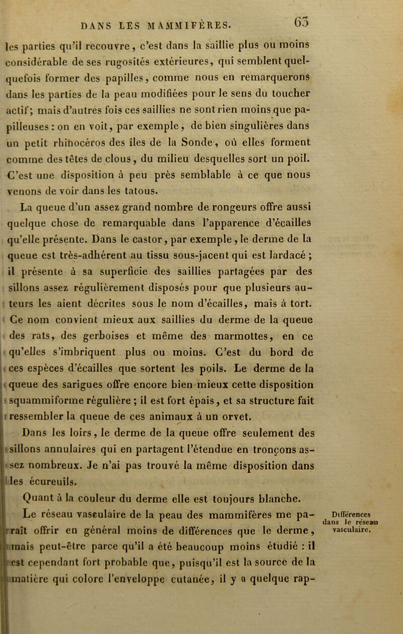 les parties qu’il recouvre, c’est dans la saillie plus ou moins considérable de ses rugosités extérieures, qui semblent quel- quefois former des papilles, comme nous en remarquerons dans les parties de la peau modifiées pour le sens du toucher actif ; mais d’autres fois ces saillies ne sont rien moins que pa- pilleuses : on en voit, par exemple, de bien singulières dans un petit rhinocéros des îles de la Sonde, où elles forment comme des têtes de clous, du milieu desquelles sort un poil. C’est une disposition à peu près semblable à ce que nous venons de voir dans les tatous. La queue d’un assez grand nombre de rongeurs offre aussi quelque chose de remarquable dans l’apparence d’écailles qu’elle présente. Dans le castor, par exemple, le derme de la queue est très-adhérent au tissu sous-jacent qui est lardacé ; il présente à sa superficie des saillies partagées par des sillons assez régulièrement disposés pour que plusieurs au- teurs les aient décrites sous le nom d’écailles, mais à tort. Ce nom convient mieux aux saillies du derme de la queue des rats, des gerboises et même des marmottes, en ce . qu’elles s’imbriquent plus ou moins. C’est du bord de I ces espèces d’écailles que sortent les poils. Le derme de la I queue des sarigues offre encore bien mieux cette disposition > squammiforme régulière ; il est fort épais, et sa structure fait r ressembler la queue de ces animaux à un orvet. Dans les loirs, le derme de la queue offre seulement des ‘sillons annulaires qui en partagent l’étendue en tronçons as- 'sez nombreux. Je n’ai pas trouvé la même disposition dans lies écureuils. Quant à la couleur du derme elle est toujours blanche. Le réseau vasculaire de la peau des mammifères me pa- rraît offrir en général moins de différences que le derme, I mais peut-être parce qu’il a été beaucoup moins étudié : il f est cependant fort probable que, puisqu’il est la source de la liinalière qui colore l’enveloppe cutanée, il y o quelque rap- Différences dans le résean vasculaire.