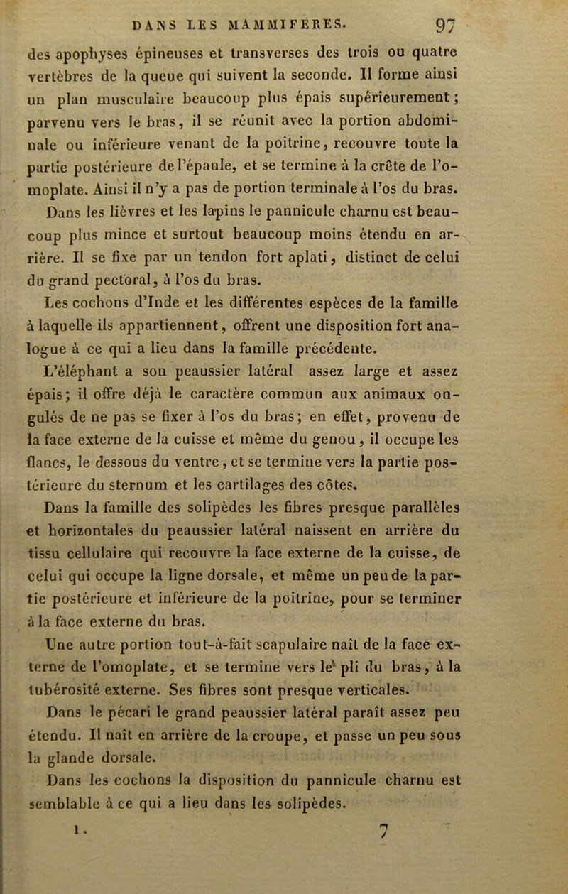 des apophyses épineuses et transverses des trois ou quatre vertèbres de la queue qui suivent la seconde. Il forme ainsi un plan musculaire beaucoup plus épais supérieurement ; parvenu vers le bras, il se réunit avec la portion abdomi- nale ou inférieure venant de la poitrine, recouvre toute la partie postérieure de l’épaule, et se termine à la crête de l’o- moplate. Ainsi il n’y a pas de portion terminale à l’os du bras. Dans les lièvres et les lapins le pannicule charnu est beau- coup plus mince et surtout beaucoup moins étendu en ar- rière. II se fixe par un tendon fort aplati, distinct de celui du grand pectoral, à l’os du bras. Les cochons d’Inde et les différentes espèces de la famille à laquelle ils appartiennent, offrent une disposition fort ana- logue à ce qui a lieu dans la famille précédente. L’éléphant a son peaussier latéral assez large et assez épais; il offre déjà le caractère commun aux animaux on- gulés de ne pas se fixer à l’os du bras; en effet, provenu de la face externe de la cuisse et même du genou, il occupe les flancs, le dessous du ventre, et se termine vers la partie pos- térieure du sternum et les cartilages des côtes. Dans la famille des solipèdes les fibres presque parallèles et horizontales du peaussier latéral naissent en arrière du tissu cellulaire qui recouvre la face externe de la cuisse, de celui qui occupe la ligne dorsale, et même un peu de la par- tie postérieure et inférieure de la poitrine, pour se terminer à la face externe du bras. Une autre portion tout-à-fait scapulaire naît de la face ex- terne de l’omoplate, et se termine vers le' pli du bras, à la tubérosité externe. Ses fibres sont presque verticales. Dans le pécari le grand peaussièr latéral paraît assez peu étendu. Il naît en arrière de la croupe, et passe un peu sous la glande dorsale. Dans les cochons la disposition du pannicule charnu est semblable à ce qui a lieu dans les solipèdes. 1. 7