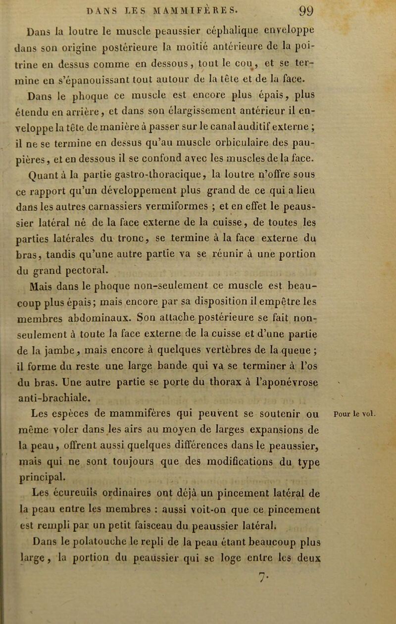 Dans la loutre le muscle peaussier céphalique enveloppe dans son origine postérieure la moitié antérieure de la poi- trine en dessus comme en dessous, tout le cou, et se ter- mine en s’épanouissant tout autour de la tête et de la face. Dans le phoque ce muscle est encore plus épais, plus étendu en arriére, et dans son élargissement antérieur il en- veloppe la tête de manière à passer sur le canal auditif externe ; il ne se termine en dessus qu’au muscle orbiculaire des pau- pières , et en dessous il se confond avec les muscles de la face. Quanta la partie gastro-thoracique, la loutre n’offre sous ce rapport qu’un développement plus grand de ce qui a lieu dans les autres carnassiers vermiformes ; et en effet le peaus- sier latéral né de la face externe de la cuisse, de toutes les parties latérales du tronc, se termine à la face externe du bras, tandis qu’une autre partie va se réunir à une portion du grand pectoral. Mais dans le phoque non-seulement ce muscle est beau- coup plus épais; mais encore par sa disposition il empêtre les membres abdominaux. Son attache postérieure se fait non- seulement à toute la face externe de la cuisse et d’une partie de la jambe, mais encore à quelques vertèbres de la queue ; il forme du reste une large bande qui va se terminer à l’os du bras. Une autre partie se porte du thorax à l’aponévrose anti-brachiale. Les espèces de mammifères qui peuvent se soutenir ou même voler dans les airs au moyen de larges expansions de la peau, offrent aussi quelques différences dans le peaussier, mais qui ne sont toujours que des modifications du type principal. Les écureuils ordinaires ont déjà un pincement latéral de la peau entre les membres : aussi voit-on que ce pincement est rempli par un petit faisceau du peaussier latéral. Dans le polatouche le repli de la peau étant beaucoup plus large, la portion du peaussier qui sc loge entre les deux 7- Pour le vol