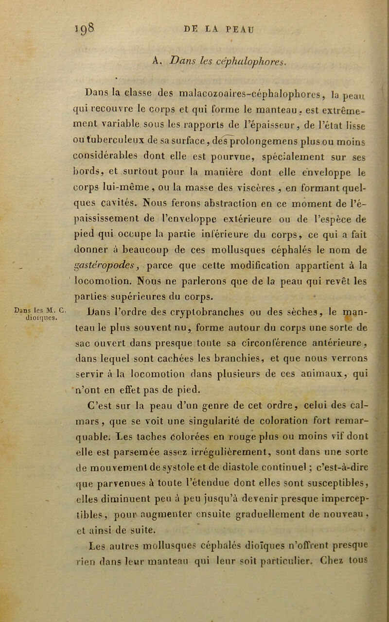 Dans les M. C dioKiues. A. Dans les cèphalophores. Dans la elasse des malacozoaires-céphalophores, la peau qui recouvre le corps et qui forme le manteau,, est extrême- ment variable sous les rapports de l’épaisseur, de l’état lisse ou tuberculeux de sa surface, des prolongemens plus ou moins considérables dont elle est pourvue, spécialement sur ses bords, et surtout pour la manière dont elle enveloppe le corps lui-même, ou la masse des viscères , en formant quel- ques cavités. Nous ferons abstraction en ce moment de l’é- paississement de l’enveloppe extérieure ou de l’espèce de pied qui occupe la partie inférieure du corps, ce qui a fait donner à beaucoup de ces mollusques céphalés le nom de gastéropodes, parce que cette modification appartient à la locomotion. Noos ne parlerons que de la peau qui revêt les parties supérieures du corps. Dans l’ordre des cryptobranclies ou des sèches, le man- teau le plus souvent nu, forme autour du corps une sorte de sac ouvert dans presque toute sa circonférence antérieure, dans lequel sont cachées les branchies, et que nous verrons servir à la locomotion dans plusieurs de ces animaux, qui n’ont en effet pas de pied. C’est sur la peau d’un genre de cet ordre, celui des cal- mars, que se voit une singularité de coloration fort remar- quable. Des taches Colorées en rouge plus ou moins vif dont elle est parsemée assez irrégulièrement, sont dans une sorte de mouvement de systole et de diastole continuel ; c’est-à-dire que parvenues à toute l’étendue dont elles sont susceptibles, elles diminuent peu à peu jusqu’à devenir presque impercep- tibles, pour augmenter ensuite graduellement de nouveau, et ainsi de suite. Les autres mollusques céphalés dioiques n’offrent presque rien dans leur manteau qui leur soit particulier. Chez tous