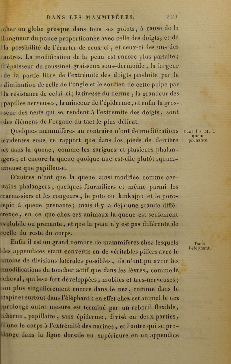 DANS LES MAMMIFÈRES. cher un globe presque dans tous ses points, i cause de la longueur du pouce proportionnée avec celle des doigts, et de la possibilité de l’écarter de ceux-ci, et ceux-ci les uns des autres. La modification de la peau est encore plus parfaite ; l’épaisseur du coussinet graisseux sous-dermoïde , la largeur de la partie libre de l’extrémité des doigts produite par la I diminution de celle de l’ongle et le soutien de cette pulpe par la résistance de celui-ci ; la finesse du derme , la grandeur des papilles nerveuses, la minceur de l’épiderme, et enfin la gros- seur des nerfs qui se rendent à l’extrémité des doigts, sont des élémens de l’organe du tact le plus délicat. Quelques mammifères au contraire n’ont de modifications lévidentes sous ce rapport que dans les pieds de derrière tet dans la queue, comme les sarigues et plusieurs phalan- :,gers ; et encore la queue quoique nue est-elle plutôt squam- tmeuse que papilleuse. D’autres n’ont que la queue ainsi modifiée comme cer- t tains pbalangers , quelques fourmiliers et même parmi les (Carnassiers et les rongeurs , le poto ou kinkajou et le porc- eépic à queue prenante; mais il y a déjà une grande diffé- rrence, en ce que chez ces animaux la queue est seulement ^volubile ou prenante, et que la peau n’y est pas différente de I celle du reste du corps. Enfin il est un grand nombre de mammifères chez lesquels I les appendices étant convertis en de véritables piliers avec le ji moins de divisions latérales possibles, ils n’ont pu avoir les t modifications du toucher actif que dans les lèvres, comme le \ cheval, qui les a fort développées, mobiles et très-nerveuses ; f ou plus singulièrement encore dans le nez, comme dans le I tapir et surtout dans l’éléphant : en effet chez cet animal le nez J prolongé outre mesure est terminé par un rebord flexible, Icharnu, papillaire , sans épiderme, divisé en deux parties, f l’une le corps à l’extrémité des narines , et l’autre qui se pro- f longe dans la ligne dorsale ou supérieure en un appendice 1 Dans las M. à queuo prenante. Dans t’éléphant.