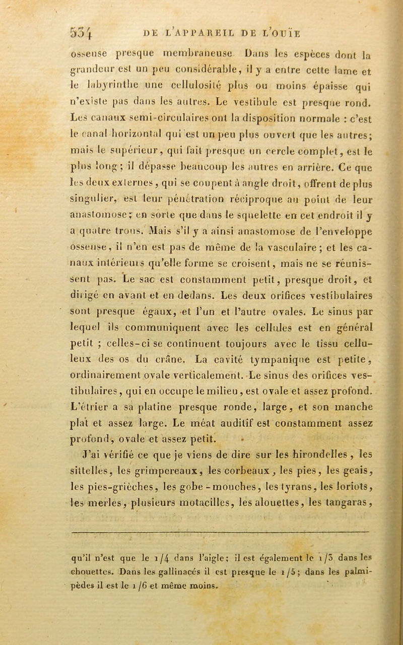 osseuse presque membraueuse Dans les espèces dont la grandeur est un peu considérable, il y a entre celte lame et le labyrinthe une cellulosilé plus ou moins épaisse qui n’e\iste pas dans les autres. Le vestibule est presque rond. Les canaux semi-circulaires ont la disposition normale : c’est le canal horizontal qui est un peu plus ouvert que les autres; mais le supérieur, qui l'ail j)rcsque un cercle complet, est le plus long; il dépasse beaucoup les autres en arrière. Ce que les deux externes, qiri se coupent à angle droit, offrent de plus singulier, est leur pénétration réciproque au point de leur anastomose; en sorte que dans le srpielette en cet endroit il y a (jualre trous. Mais s’il y a ainsi anastomose de l’enveloppe osseuse, il n’en est pas de même de la vasculaire; et les ca- naux intérieuis qu’elle forme se croisent, mais ne se réunis- sent pas. Le sac est constamment petit, presque droit, et dirigé en avant et en dedans. Les deux orifices veslibulaires sont presque égaux, et l’un et l’autre ovales. Le sinus par lequel ils communiquent avec les cellules est en général petit ; celles-ci se continuent toujours avec le tissu cellu- leux des os du erSne. La cavité lympanique est petite, ordinairement ovale verticalement. Le sinus des orifices ves- tibulaires, qui eu occupe le milieu, est ovale et assez profond. L’étrier a sa platine presque ronde, large, et son manche plat et assez large. Le méat auditif est constamment assez profond, ovale et assez petit. J’ai vérifié ce que je viens de dire sur les hirondelles , les sittelles, les grimpereaux, les corbeaux, les pies, les geais, les pies-grièches, les gobe-mouches, les tyrans, les loriots, les merles, plusieurs motacilles, les alouettes, les tangaras. qu’il n’est que le i/4 dans l’aigle; il est également le i/3 dans les chouettes. Dans les gallinacés il est presque le i/5; dans les palmi- pèdes il est le 1 /6 et même moins.