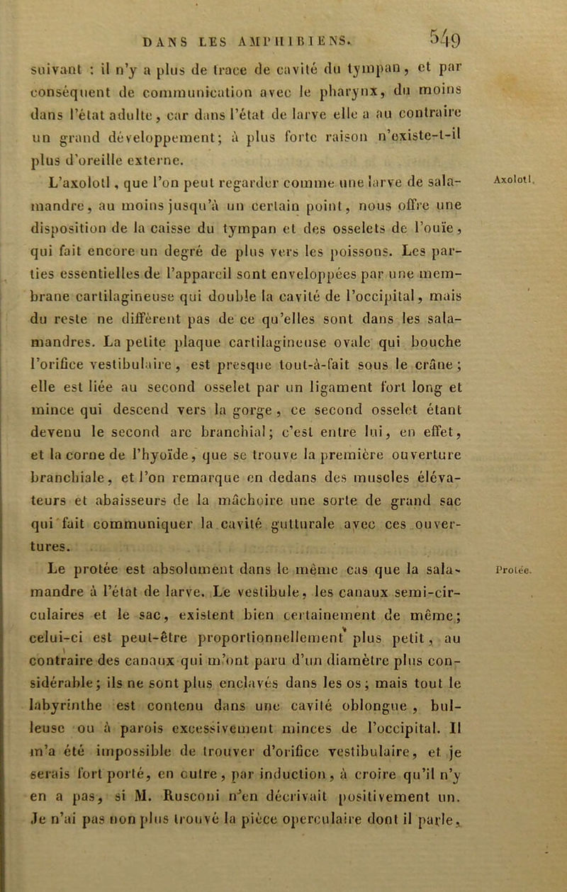 DANS LES AiiriIlBIENS. 5/|9 suivant : il n’y a plus de trace de cavité dn tj'inpan, et par conséquent de communication avec le pharynx, du moins dans l’état adulte, car dans l’état de larve elle a au contraire un grand développement; à plus forte raison n’cxiste-l-il plus d’oreille exteime. L’axolotl, que l’on peut regarder comme une larve de sala- mandre, au moins jusqu’à un certain point, nous offre une disposition de la caisse du tympan et des osselets de l’ouïe, qui fait encore un degré de plus vers les poissons. Les par- ties essentielles de l’appareil sont enveloppées par une mem- brane cartilagineuse qui double la cavité de l’occipital, mais du reste ne diffèrent pas de ce qu’elles sont dans les sala- mandres. La petite plaque cartilagineuse ovale qui bouche l’orifice vestibulaire , est presque tout-à-fait sous le crâne; elle est liée au second osselet par un ligament fort long et mince qui descend vers la gorge , ce second osselet étant devenu le second arc branchial; c’est entre lui, en effet, et la corne de l’hyoïde, que se trouve la première ouverture branchiale, et l’on remarque en dedans des muscles éléva- teurs et abaisseurs de la mâchoire une sorte de grand sac qui fuit communiquer la cavité gutturale avec ces ouver- tures. Le protée est absolument dans le même cas que la sala' mandre à l’état de larve. Le vestibule, les canaux semi-cir- culaires et le sac, existent bien ceitainement de même; celui-ci est peut-être proportionnellement plus petit, au contraire des canaux qui m’ont paru d’un diamètre plus con- sidérable; ils ne sont plus enclavés dans les os; mais tout le labyrinthe est contenu dans une cavité, oblongue , bul- leuse ou à parois excessivement minces de l’occipital. Il m’a été impossible de trouver d’orifice vestibulaire, et je serais fort porté, en cuire, par induction, à croire qu’il n’y en a pas, si M. Rusconi n\n décrivait j)osilivement un. •le n’ai pas !)on plus liouvé la pièce operculaire dont il parle. Axolotl, Prolée.