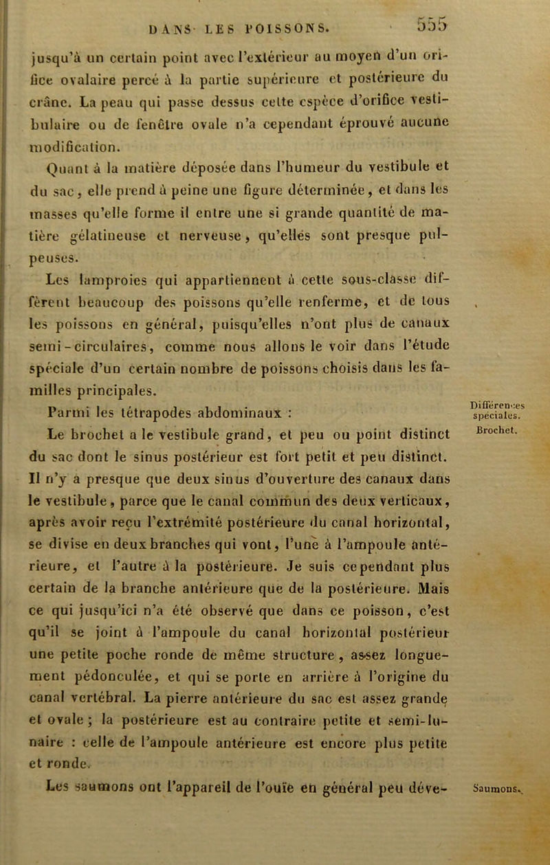 55l> jusqu’à un certain point avec l’extérieur au moyen d’un ori- fice ovalaire percé à la partie su[iéricure et postérieure du crâne. La peau qui passe dessus celte espèce d’orifice vesti- buluire ou de fenêtre ovale n’a cependant éprouvé aucune modification. Quant à la matière déposée dans l’humeur du vestibule et du sac, elle prend à peine une figure déterminée, et dans les tnasses qu’elle forme il entre une si grande quantité de ma- tière gélatineuse et nerveuse, qu’elles sont presque pul- peuses. Les lamproies qui appartiennent à cette sous-classe dif- fèrent beaucoup des poissons qu’elle renferme, et de tous les poissons en général, puisqu’elles n’ont plus de canaux semi - circulaires, comme nous allons le voir dans l’étude spéciale d’un certain nombre de poissons choisis dans les fa- milles principales. Parmi les tétrapodes abdominaux : Le brochet a le vestibule grand, et peu ou point distinct du sac dont le sinus postérieur est fort petit et peu distinct. Il n’y a presque que deux sinus d’ouverture des canaux dans le vestibule, parce que le canal commun des deux veiticaux, après avoir reçu l’extrémité postérieure du canal horizontal, se divise en deux branches qui vont, l’une à l’ampoule anté- rieure, et l’autre à la postérieure. Je suis cependant plus certain de la branche antérieure que de la postérieure. Mais ce qui jusqu’ici n’a été observé que dans ce poisson, c’est qu’il se joint à l’ampoule du canal horizontal postérieur une petite poche ronde de même structure , as-sez longue- ment pédonculée, et qui se porte en arrière à l’origine du canal vertébral. La pierre antérieure du sac est assez grande et ovale ; la postérieure est au contraire petite et semi-lu- naire : celle de l’ampoule antérieure est encore plus petite et ronde. Les saumons ont l’appareil de l’ouïe en général peu déve- Dififéren'æs spéciales. Brochet. Saumons..