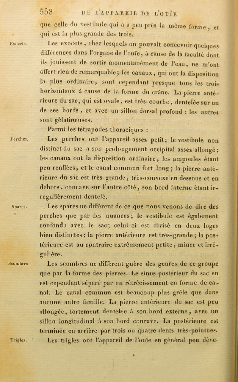 Exocets. Perches, Spares. Scombres. 558 DE l’a PPA UE IL DE l’oDÏE que celle du Yeslibiile qui a ù peu près la même Corme , et qui est la jtlus grande des trois. Les exocets , chez lesquels on pouvait concevoir quelque.^ différences dans l’organe de l’ouïe, à cause de la faculté dont ils jouissent de sortir momentanément de l’eau, ne m’ont offert rien de remarquable; les canaux, qui ont la disposition la plus ordinaire, sont cejtendant presque tous les trois horizontaux ù cause de la (orme du ci’ttne. La pierre anté- rieure du sac, qui est ovale, est très-courbe , dentelée sur un de ses bords , et avec un sillon dorsal profond ! les autres sont gélatineuses. Parmi les tétrapodes thoraciques : Les perches ont l’appareil assez petit; le vestibule non distinct du sac a son prolongement occipital assez allongé; les canaux ont la disposition ordinaire, les ampoules étant peu renflées, et le canal commun fort long; la pierre anté- rieure du sac est très-grande, très-convexe en dessous et en dehors, concave sur l’autre côté, son bord interne étant ir- régulièrement dentelé. Les spares ne diffèrent de ce que nous venons de dire des perches que par des nuances; le vestibule est également confondu avec le sac; celui-ci est divisé en deux loges bien distinctes ; la pierre antérieure est très-grande ; la pos- térieure est au contraire extrêmement petite, mince et irré- gulière. Les scombres ne diffèrent guère des genres de ce groupe que par la forme des pierres. Le sinus postérieur du sac en est cependant séparé par un rétrécissement en forme de ca- nal. Le canal commun est beaucoup plus grêle que dans aucune autre famille. La pierre antérieure du sac est peu allongée, foitement dentelée à son bord externe, avec un sillon longitudinal é son bord concave. La postérieure est terminée en arrière par trois ou quatre dents très-pointues. Les trigles ont l’appareil de l’ouïe en général peu déve- Tfrigles. '