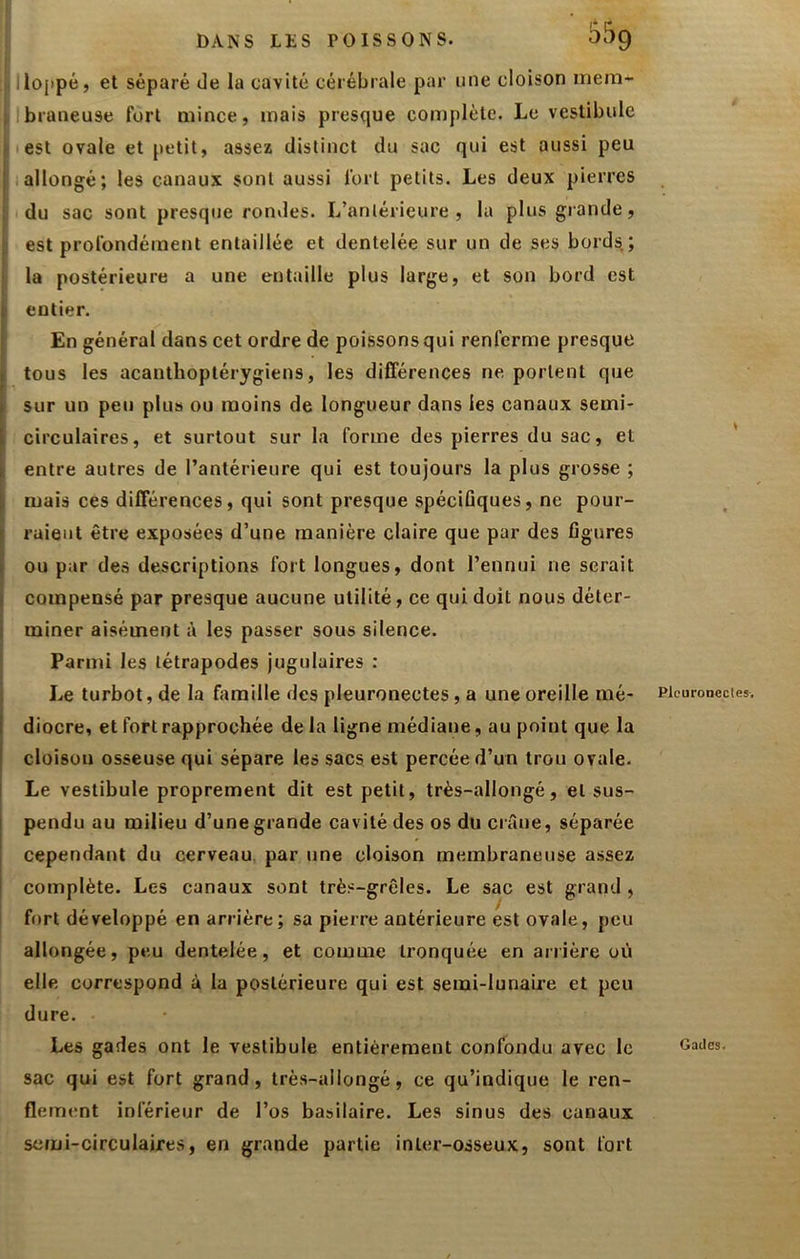 ) BANS LES POISSONS. 55g llojipé, et séparé de la cavité cérébrale par une cloison inem- Ibraneuse fort mince, mais presque coiDpléte. Le vestibule est ovale et petit, assez distinct du sac qui est aussi peu 1 iallongé; les canaux sont aussi Tort petits. Les deux pierres I du sac sont presque rondes. L’antérieure, la plus grande, est profondément entaillée et dentelée sur un de ses bords; la postérieure a une entaille plus large, et son bord est 1 entier. En général dans cet ordre de poissons qui renferme presque 1 tous les acanthoptérygiens, les différences ne portent que [ sur un peu plus ou moins de longueur dans les canaux semi- 1 circulaires, et surtout sur la forme des pierres du sac, et i entre autres de l’antérieure qui est toujours la plus grosse ; mais ces différences, qui sont presque spécifiques, ne pour- I raient être exposées d’une manière claire que par des figures ► ou par des descriptions fort longues, dont l’ennui ne serait s compensé par presque aucune utilité, ce qui doit nous déter- I miner aisément à les passer sous silence. Parmi les tétrapodes jugulaires : Le turbot, de la bîmille des pleuronectes, a une oreille mé- I diocre, et fort rapprochée delà ligne médiane, au point que la I cloison osseuse qui sépare les sacs est percée d’un trou ovale. I Le vestibule proprement dit est petit, très-allongé, et sus- I pendu au milieu d’une grande cavité des os du crâne, séparée cependant du cerveau, par une cloison membraneuse assez i complète. Les canaux sont très-grêles. Le sac est grand, fort développé en arrière; sa pierre antérieure est ovale, peu allongée, peu dentelée, et comme tronquée en arrière où elle correspond à la postérieure qui est semi-lunaire et peu dure. Les gades ont le vestibule entièrement confondu avec le sac qui est fort grand, très-allongé, ce qu’indique le ren- flement inférieur de l’os basilaire. Les sinus des canaux semi-circulaires, en grande partie inter-osseux, sont fort Pleuronectes-. Gades.