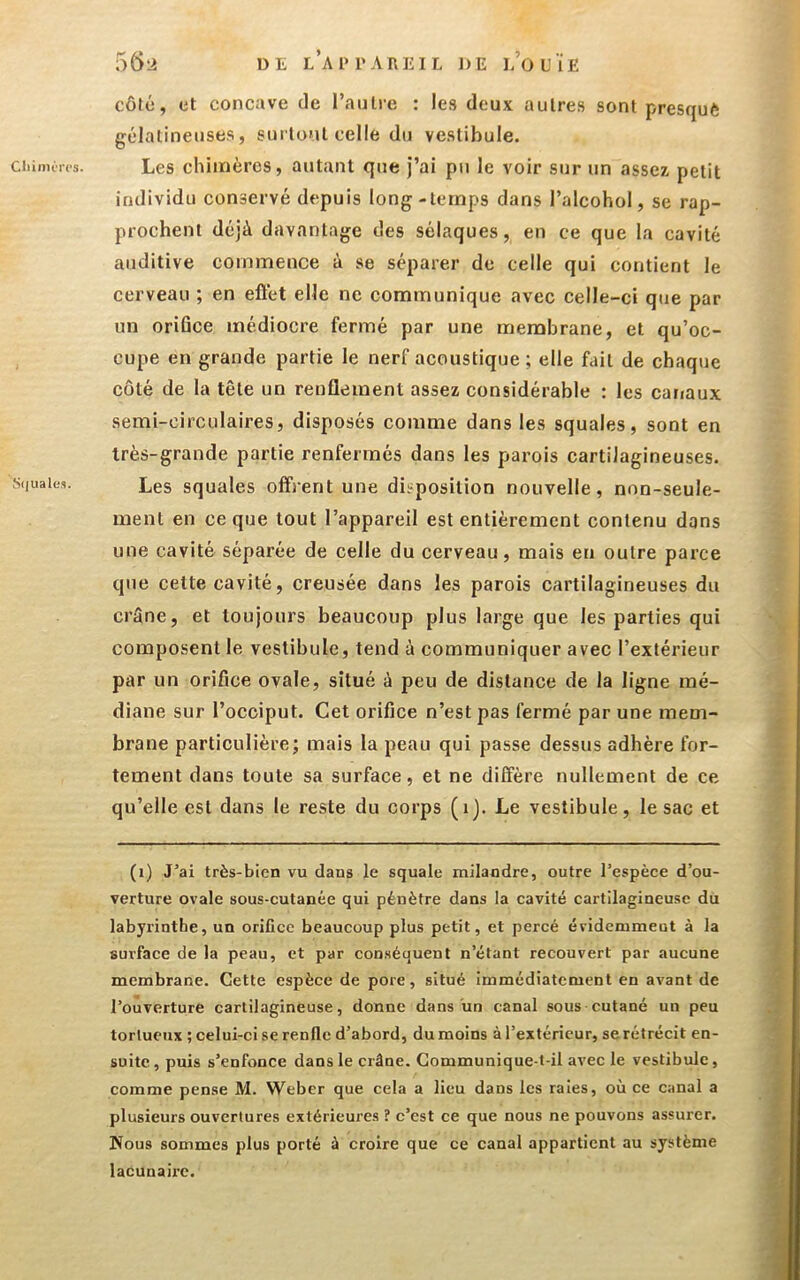 55^ DE LAIM'AREIL J)E l’ouÏE côlé, et concave de raulre : les doux autres sont presquè gélatineuses, surtout celle du vestibule. ciiinuics. Les chimères, autant que j’ai pu le voir sur un assez petit individu conservé depuis long-temps dans l’alcohol, se rap- prochent déjà davantage des sélaques, en ce que la cavité auditive commence à se séparer de celle qui contient le cerveau ; en eflét elle ne communique avec celle-ci que par un orifice médiocre fermé par une membrane, et qu ’oc- cupe en grande partie le nerf acoustique ; elle fait de chaque côté de la tête un renflement assez considérable : les canaux semi-circulaires, disposés comme dans les squales, sont en très-grande partie renfermés dans les parois cartilagineuses. Squales. Lcs squales offrent une disposition nouvelle, non-seule- ment en ce que tout l’appareil est entièrement contenu dans une cavité séparée de celle du cerveau, mais en outre parce que cette cavité, creusée dans les parois cartilagineuses du crâne, et toujours beaucoup plus large que les parties qui composent le vestibule, tend à communiquer avec l’extérieur par un orifice ovale, situé à peu de distance de la ligne mé- diane sur l’occiput. Cet orifice n’est pas fermé par une mem- brane particulière; mais la peau qui passe dessus adhère for- tement dans toute sa surface, et ne diffère nullement de ce qu’elle est dans le reste du corps (ij. Le vestibule, le sac et (i) J’ai très-bien vu dans le squale milaodre, outre l’espèce d’ou- verture ovale sous-cutanée qui pénètre dans la cavité cartilagineuse du labyrinthe, un orifice beaucoup plus petit, et percé évidenimeut à la surface de la peau, et par con.séquent n’étant recouvert par aucune membrane. Cette espèce de pore, situé immédiatement en avant de l’ouverture cartilagineuse, donne dans un canal sous cutané un peu tortueux ; celui-ci se renfle d’abord, du moins à l’extérieur, se rétrécit en- suite , puis s’enfonce dans le crâne. Communique-t-il avec le vestibule, comme pense M. Weber que cela a lieu dans les raies, où ce canal a plusieurs ouvertures extérieures ? c’est ce que nous ne pouvons assurer. Nous sommes plus porté à croire que ce canal appartient au système lacunaire.