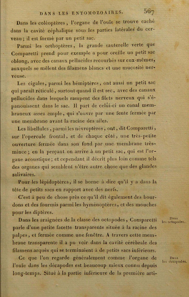 DANS LES ENTOMOZOAlKES. 56^ Dans les coléoplères , l’organe de l’ouïe se trouve caché dans la cavité céphalique sous les parties latérales du cer- veau ; il est tonné par un petit sac. Parmi les orthoptères, la grande sauterelle verte que Comparetti prend pour exemple a pour oreille un petit sac oblong, avec des canaux pellucidcs recourbés sur eux-mêmes, auxquels se mêlent des filameus blancs et une mucosité ner- veuse. Les cigales, parmi les hémiptères, ont aussi un petit sac qui paraît réticulé, surtout quand il est sec, avec des canaux pellucides dans lesquels rampent des filets nerveux qui s’é- panouissent dans le sac. 11 part de celui-ci un canal mem- braneux assez ample, qui s’ouvre par une lente lermée par une membrane avant la racine des ailes. Les libellules , parmi les névroptères, ont, dit Comparetti, sur l’opercule frontal, et de chaque coté, une très-petite ouverture fermée dans son fond par une membrane très- mince ; en la perçant on arrive à un petit sac, qui est l’or- gane acoustique; et cependant il décrit plus loin comme tels des organes qui semblent n’ôtre autre chose que des glandes salivaires. Pour les lépidoptères, il se borne à dire qu’il y a dans la tête de petits sacs en rapport avec des nerfs. C’est à peu de chose près ce qu’il dit également des bour- dons et des fourmis parmi les hyménoptères, et des mouches pour les diptères. Dans les araignées de la classe des octopodes, Comparetti parle d’une petite facette transparente située à la racine des palpes, et fermée comme une fenêtre. A travers cette mem- brane transparente il a pu voir dans la cavité cérébrale des filamens arqués qui se terminaient à de petits sacs inférieurs. Ce que l’on regarde généralement comme l’organe de l’ouïe dans les décapodes est beaucoup mieux connu depuis long-temps. Situé à la partie iuférieure de la première arti- Dnns les octopodes. Dans les décapodes.