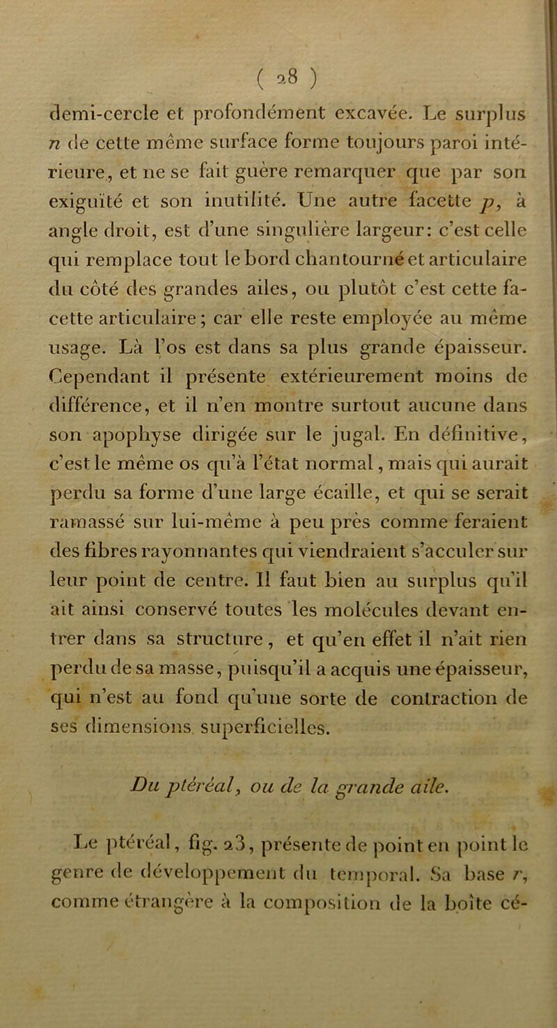 ( ^8 ) demi-cercle et profondément excavée. Le surplus n (le cette meme surface forme toujours paroi inté- rieure, et ne se fait guère remarquer que par son exiguïté et son inutilité. Une autre facette p, à angle droit, est d’une singulière largeur; c’est celle qui remplace tout le bord chantourné et articulaire du côté des grandes ailes, ou plutôt c’est cette fa- cette articulaire; car elle reste employée au même usage. Là l’os est dans sa plus grande épaisseur. Cependant il présente extérieurement moins de différence, et il n’en montre surtout aucune dans son apophyse dirigée sur le jugal. En définitive, c’est le même os qu’à l’état normal, mais cpii aurait perdu sa forme d’une large écaille, et qui se serait ramassé sur lui-même à peu près comme feraient des fibres rayonnantes qui viendraient s’acculer sur leur point de centre. Il faut bien au surplus qu’il ait ainsi conservé toutes les molécules devant en- trer dans sa structure, et qu’en effet il n’ait rien perdu de sa masse, puisqu’il a acquis une épaisseur, qui n’est au fond cju’une sorte de contraction de ses dimensions, superficielles. Du ptéréal, ou de la grande aile. Le ptéi’éal, fig. a3, présente de point en point le genre de développement du temporal. .Sa base r, comme étrangère à la composition de la boîte cé-