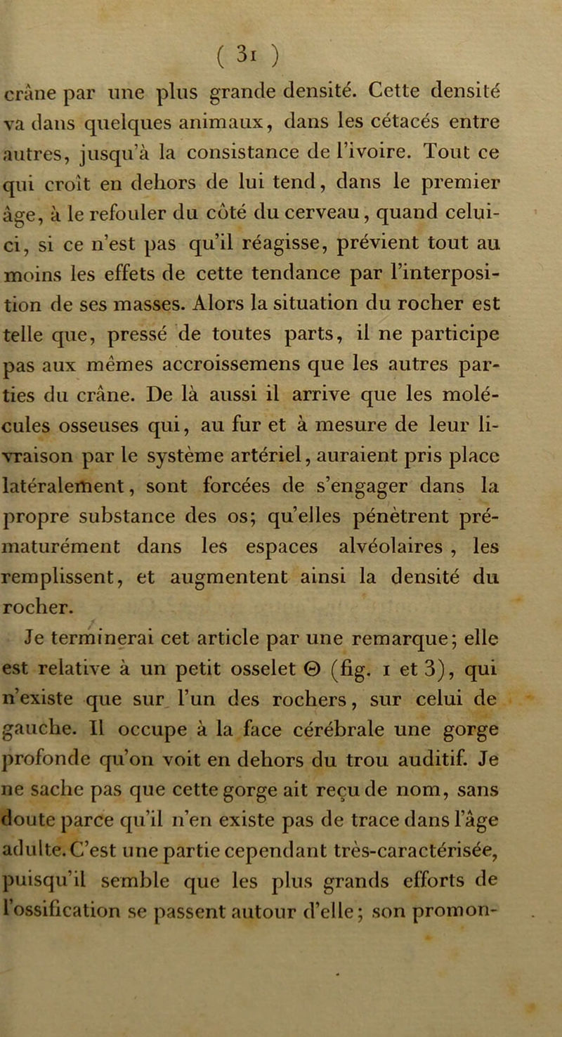 crâne par ime plus grande densité. Cette densité va clans quelques animaux, dans les cétacés entre autres, jusqu’à la consistance de l’ivoire. Tout ce qui croît en dehors de lui tend, dans le premier âge, à le refouler du coté du cerveau, quand celui- ci, si ce n’est pas qu’il réagisse, prévient tout au moins les effets de cette tendance par l’interposi- tion de ses masses. Alors la situation du rocher est telle que, pressé de toutes parts, il ne participe pas aux mêmes accroissemens que les autres par- ties du crâne. De là aussi il arrive que les molé- cules osseuses qui, au fur et à mesure de leur li- \Taison par le système artériel, auraient pris place latéralement, sont forcées de s’engager dans la propre substance des os; quelles pénètrent pré- maturément dans les espaces alvéolaires , les remplissent, et augmentent ainsi la densité du rocher. Je terminerai cet article par une remarque; elle est relative à un petit osselet © (fig. i et 3), qui n’existe que sur l’un des rochers, sur celui de gauche. Il occupe à la face cérébrale une gorge profonde qu’on voit en dehors du trou auditif. Je ne sache pas que cette gorge ait reçu de nom, sans doute parce qu’il n’en existe pas de trace dans l’âge adulte. C’est une partie cependant très-caractérisée, puisqu’il semble que les plus grands efforts de l’ossification se passent autour d’elle; son promon-