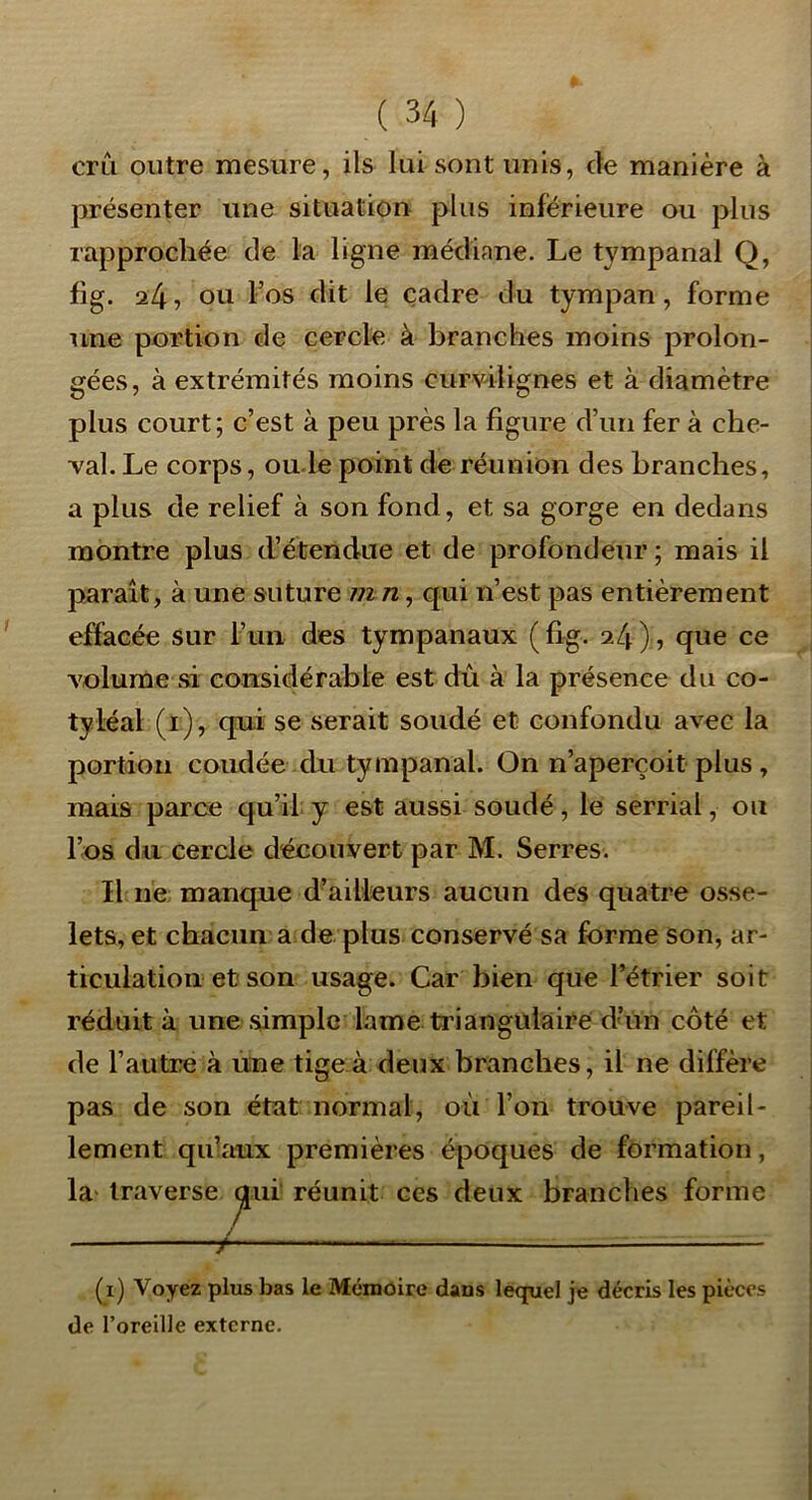 cru outre mesure, ils lui sont unis, de manière à présenter une situation plus inférieure ou plus rapprochée de la ligne médiane. Le tympanal Q, fig. il\, ou l’os dit le cadre du tympan, forme une portion de cercle à branches moins prolon- gées, à extrémités moins curvilignes et à diamètre plus court ; c’est à peu près la figure d’un fer à che- val. Le corps, ou ïe point de réunion des branches, a plus de relief à son fond, et sa gorge en dedans montre plus d’étendue et de profondeur; mais il paraît, à une suture mn^ qui n’est pas entièrement effacée sur l’un des tympanaux (fig. il\), que ce volurne si considérable est dû à la présence du co- tyléal (i), qui se serait soudé et confondu avec la portion coudée du tympanal. On n’aperçoit plus, mais parce qu’il y est aussi soudé, le serrial, ou l’os du cercle découvert par M. Serres. Il ne manque d’ailleurs aucun des quatre osse- lets, et chacun a de plus conservé sa forme son, ar- ticulation et son usage. Car bien que l’étrier soit réduit à une simple lame triangulaire d’ùn côté et de l’autre à une tige à deux branches, il ne diffère pas de son état normal, où l’on trouve pareil- lement qidiiux premières q^oques de formation, la traverse ^ui réunit ces deux branches forme / (^i) Voyez plus bas le Mémoire dans lequel je décris les pièces de l’oreille externe.