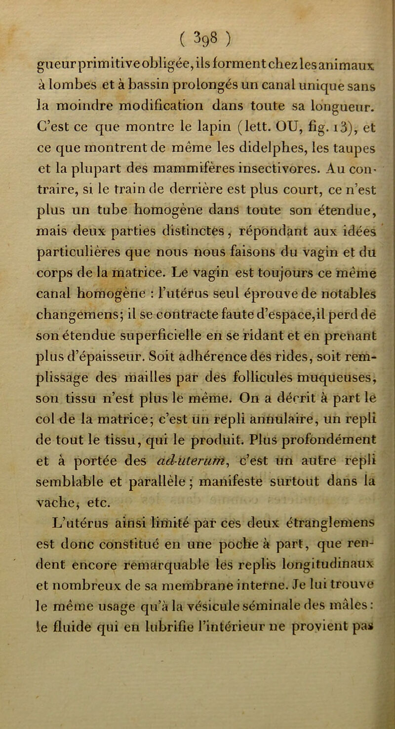 giieur prim itive obligée, ils forment chez les animaux à lombes et à bassin prolongés un canal unique sans la moindre modification dans toute sa longueur. C’est ce que montre le lapin (lett. OU, fig. i3), et ce que montrent de même les didelphes, les taupes et la plupart des mammifères insectivores. Au con- traire, si le train de derrière est plus court, ce n’est plus un tube homogène dans toute son étendue, mais deux parties distinctes, répondant aux idées particulières que nous nous faisons du vagin et du corps de la matrice. Le vagin est toujours ce même canal homogène : l’utéi'us seul éprouve de notables changemens; il se contracte faute d’espace,il perd dé son étendue superficielle en se ridant et en prenant plus d’épaisseur. Soit adhérence des rides, soit rem- plissage des rnailles par des follicules muqueuses, son tissu n’est plus le même. On a décrit à part le col de la matrice; c’est un répli annulaire, un repli de tout le tissu, qui le produit. Plus profondément et à portée des aduterum^ c’est un autre repli semblable et parallèle ; manifeste surtout dans la vache ^ etc. L’utérus ainsi limité par ces deux étranglemens est donc constitué en une poche à part, que ren- dent encore remarquable lés replis longitudinaux et nombreux de sa membrane interne. Je lui trouve le même usage qu’à la vésicule séminale des mâles: le fluide qui en lubrifie l’intérieur ne provient pas