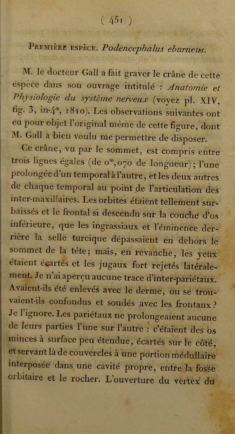 Première espèce. Podencephalus eburnem. M. le docteur Gall a fait graver le crâne de cette espèce dans son ouvrage intitulé : Anatomie et Physiologie du système nerveux (voyez pl. XIV, ng. 3, in-4°, i8ro}. Les observations suivantes ont i eu pour objet l’original meme de cette figure, dont M. Gall a bien voulu me permettre de disposer. Ce crâne, vu par le sommet, est compris entre ! trois lignes égales (de o™,o7o de longueur); l’une I prolongée d un temporal a 1 autre, et les deux autres I de chaque temporal au point de l’articulation des I inter-maxillaires. Les orbites étaient tellement sur- ! baissés et le frontal si descendu sur la couche d’os inférieure, que les ingrassiaux et l’éminence der- rière la selle turcique dépassaient en dehors le j sommet de la tète; mais, en revanche, les yeüx étaient écartés et les jugaux fort rejetés latérale- I ment. Je n ai aperçu aucune trace d’inter-pariétaui. I Avaient-ils été enlevés avec le derme, ou se trou- I vaient-ils confondus et soudés avec les frontaux ? I Je 1 ignore. Les pariétaux ne prolongeaient aucune I de leurs parties l’une sur l’autre ^ c’étaient des os I minces à surface peu étendue, écartés sur le côté, ! et servant là de couvercles à une portion médullaire 1 interposée dans une cavité propre, entre la fossè j orbitaire et le rocher. L’ouverture du vertex du