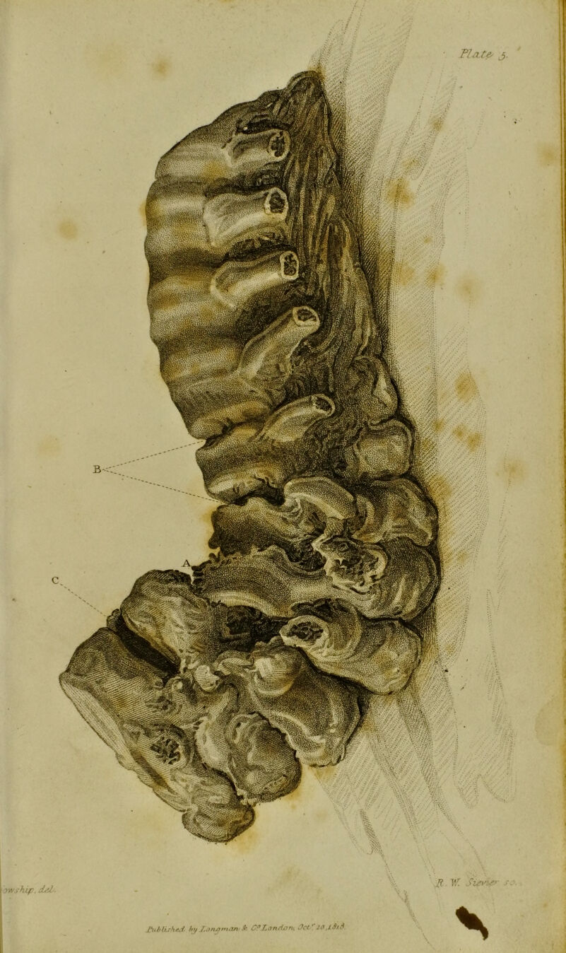 PI a t& wthip. d^J.. fubiitkedi by J.arutni.vt-* C? London Oclr 20 .iSif