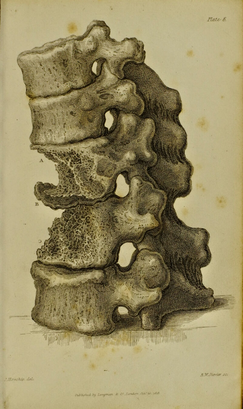 How ship. del/. K W.SievUr so. lublishrjt by Lorwrruvx i: