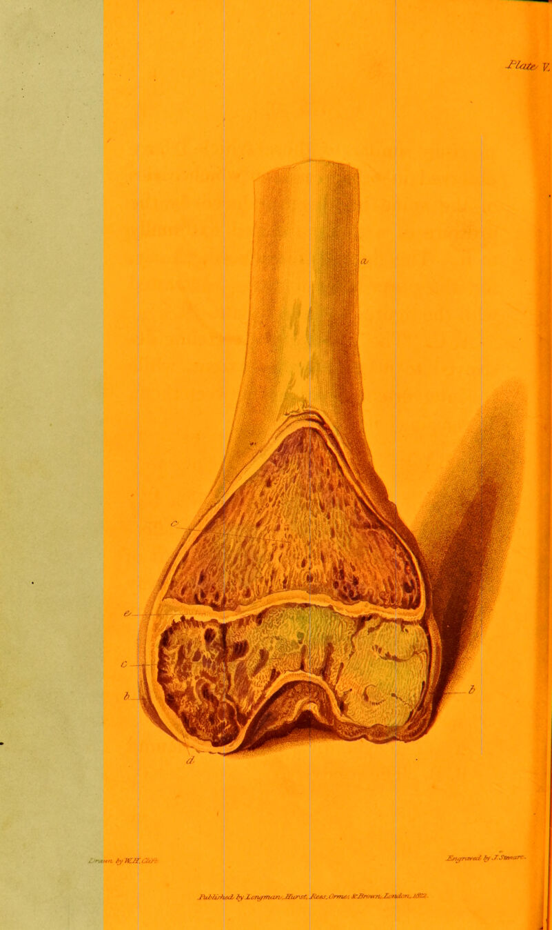 . ruwn, by W. J%. &tYr J by j.crhy7n<m;,Jfu?'s(‘. /Cats. Qmu.', ALBrowru Xemyitm. A