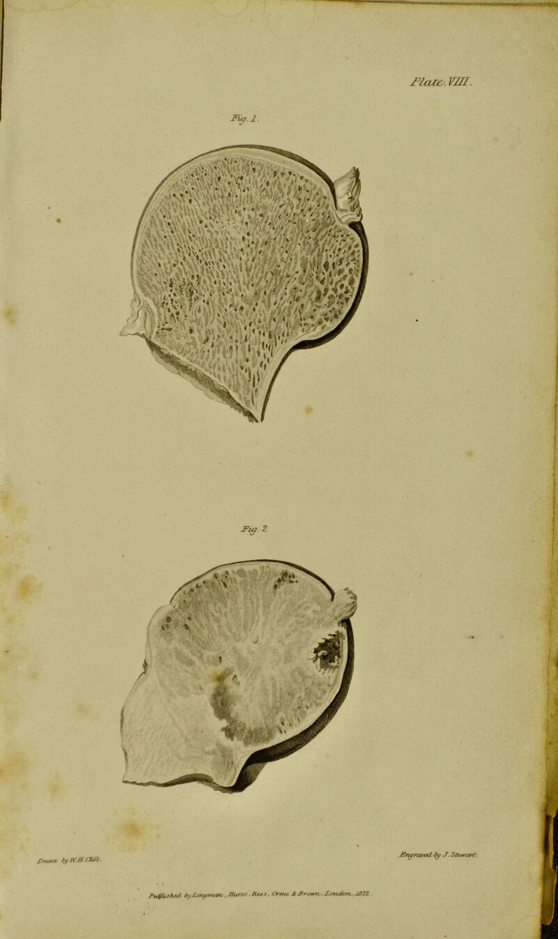 -Fuj.l. Z Prawn bytVfffWc. Erujrcwoc/ by J. Stewart. Pu/flushat byXonynum, Hurst Rees. Orrne Jt Brown,. Zoneian