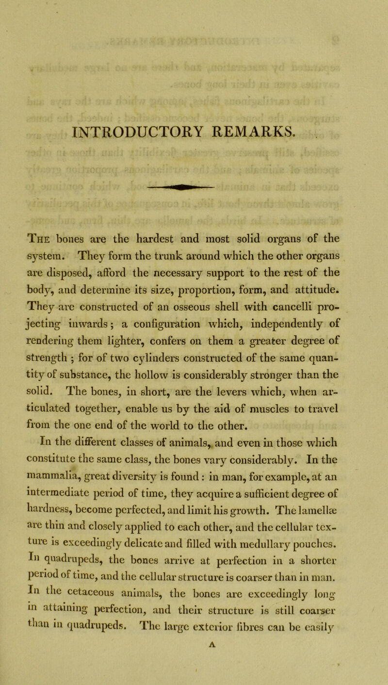 INTRODUCTORY REMARKS. The bones are the hardest and most solid organs of the system. They form the trunk around which the other organs are disposed, afford the necessary support to the rest of the body, and determine its size, proportion, form, and attitude. They arc constructed of an osseous shell with cancelli pro- jecting inwards; a configuration which, independently of rendering them lighter, confers on them a greater degree of strength ; for of two c}'linders constructed of the same quan- tity of substance, the hollow is considerably stronger than the solid. The bones, in short, are the levers which, when ar- ticulated together, enable us by the aid of muscles to travel from the one end of the world to the other. In the different classes of animals, and even in those which constitute the same class, the bones vary considerably. In the mammalia, great diversity is found : in man, for example, at an intermediate period of time, they acquire a sufficient degree of hardness, become perfected, and limit his growth. The lamellae are thin and closely applied to each other, and the cellular tex- ture is exceedingly delicate and filled with medullary pouches. In quadrupeds, the bones arrive at perfection in a shorter period of time, and the cellular structure is coarser than in man. In the cetaceous animals, the bones are exceedingly long in attaining perfection, and their structure is still coarser than in quadrupeds. The large exterior fibres can be casll}'- A