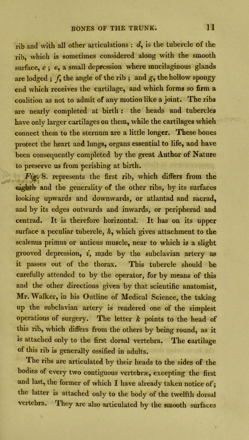 rib and with all other articulations : d, is the tubercle of the rib, which is sometimes considered along with the smooth surface, c ; e, a small depression where mucilaginous glands are lodged j /, the angle of the rib $ and g, the hollow spongy end which receives the cartilage, and which forms so firm a coalition as not to admit of any motion like a joint. The riba are nearly completed at birth : the heads and tubercles have only larger cartilages on them, while the cartilages which connect them to the sternum are a little longer. These bones protect the heart and lungs, organs essential to life, and have been consequently completed by the great Author of Nature to preserve us from perishing at birth. Fig. 8. represents the first rib, which differs from the eighth and the generality of the other ribs, by its surfaces looking upwards and downwards, or atlantad and sacrad, and by its edges outwards and inwards, or peripherad and centrad. It is therefore horizontal. It has on its upper surface a peculiar tubercle, A, which gives attachment to the scalenus primus or anticus muscle, near to which is a slight grooved depression, i, made by the subclavian artery as it passes out of the thorax. This tubercle should be carefully attended to by the operator, for by means of this and the other directions given by that scientific anatomist, Mr. Walker, in his Outline of Medical Science, the taking up the subclavian artery is rendered one of the simplest operations of surgery. The letter k points to the head of this rib, which differs from the others by being round, as it is attached only to the first dorsal vertebra. The cartilage of this rib is generally ossified in adults. The ribs are articulated bv their heads to the sides of the bodies of every two contiguous vertebrae, excepting the first and last, the former of which I have already taken notice of; the latter is attached only to the body of the twelfth dorsal vertebra. They are also articulated by the smooth surfaces