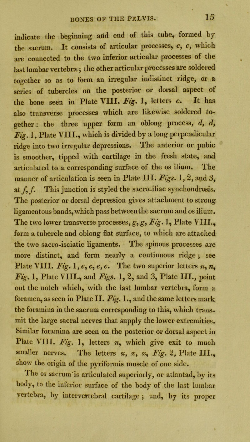 indicate the beginning and end of this tube, formed by the sacrum. It consists of articular processes, c, c, which are connected to the two inferior articular processes of the last lumbar vertebra; the other articular processes are soldered together so as to form an irregular indistinct ridge, or a series of tubercles on the posterior or dorsal aspect of the bone seen in Plate VIII. Fig. 1, letters c. It has also transverse processes which are likewise soldered to- gether: the three upper form an oblong process, d, d, Fig. 1, Plate VIII., which is divided by a long perpendicular ridge into two irregular depressions. The anterior or pubic is smoother, tipped with cartilage in the fresh state, and articulated to a corresponding surface of the os ilium. The manner of articulation is seen in Plate III. Figs. 1, 2, and 3, at/,/. This junction is styled the sacro-iliac synchondrosis. The posterior or dorsal depression gives attachment to strong ligamentous bands, which pass between the sacrum and os ilium. The two lower transverse processes, g, g, Fig. 1, Plate VIII., form a tubercle and oblong flat surface, to which are attached the two sacro-isciatic ligaments. The spinous processes are more distinct, and form nearly a continuous ridge ; see Plate VIII. Fig. 1, e, e, e, e. The two superior letters n, Fig. 1, Plate VIII., and Figs. 1, 2, and 3, Plate III., point out the notch which, with the last lumbar vertebra, form a foramen, as seen in Plate II. Fig. 1., and the same letters mark the foramina in the sacrum corresponding to this, which trans- mit the large sacral nerves that supply the lower extremities. Similar foramina are seen on the posterior or dorsal aspect in Plate VIII. Fig. 1, letters w, which give exit to much smaller nerves. The letters %, jk, S5, Fig. 2, Plate III., show the origin of the pyriformis muscle of one side. I he os sacruin'is articulated superiorly, or atlantad, by its body, to the inferior surface of the body of the last lumbar vertebra, by intervertebral cartilage ; and, by its proper