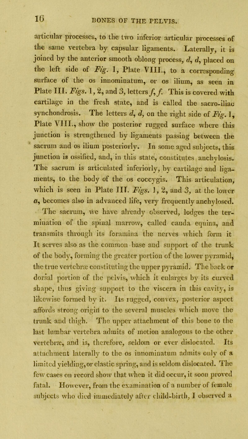 1G articular processes, to the two inferior articular processes of the same vertebra by capsular ligaments. Laterally, it is joined by the anterior smooth oblong process, r/, t/, placed on the left side of Fig. 1, Plate VIII., to a corresponding surface of the os innominatum, or os ilium, as seen in Plate III. Figs. 1,2, and 3, letters fyf. This is covered with cartilage in the fresh state, and is called the sacro-iliae synchondrosis. The letters J, d, on the right side of Fig. 1, Plate VIII., show the posterior rugged surface where this junction is strengthened by ligaments passing between the sacrum and os ilium posteriorly. In some aged subjects, this junction is ossified, and, in this state, constitutes anchylosis. The sacrum is articulated interiorly, by cartilage and liga- ments, to the body of the os coccygis. This articulation, which is seen in Plate IIT. Figs. 1, 2, and 3, at the lower fir, becomes also in advanced life, verj^ frequently anchylosed. The sacrum, we have already observed, lodges the ter- mination of the spinal marrow, called cauda equina, and transmits through its foramina the nerves which form it It serves also as the common base and support of the trunk of the body, forming the greater portion of the lower pyramid, the true vertebrm constituting the upper p3~ramid. The back or dorsal portion of the pelvis, which it enlarges by its curved shape, thus giving support to the viscera in this cavity, is likewise formed by it. Its rugged, convex, posterior aspect affords strong origiil to the several muscles which move the trunk and thigh. The upper attachment of this bone to the last lumbar vertebra admits of motion analogous to the other vertebrae, and is, therefore, seldom or ever dislocated. Its attachment laterally to the os innominatum admits only of a limited yielding,or elastic spring, and is seldom dislocated. The few cases on record show that when it did occur, it soon proved fatal. However, from the examination of a number of female