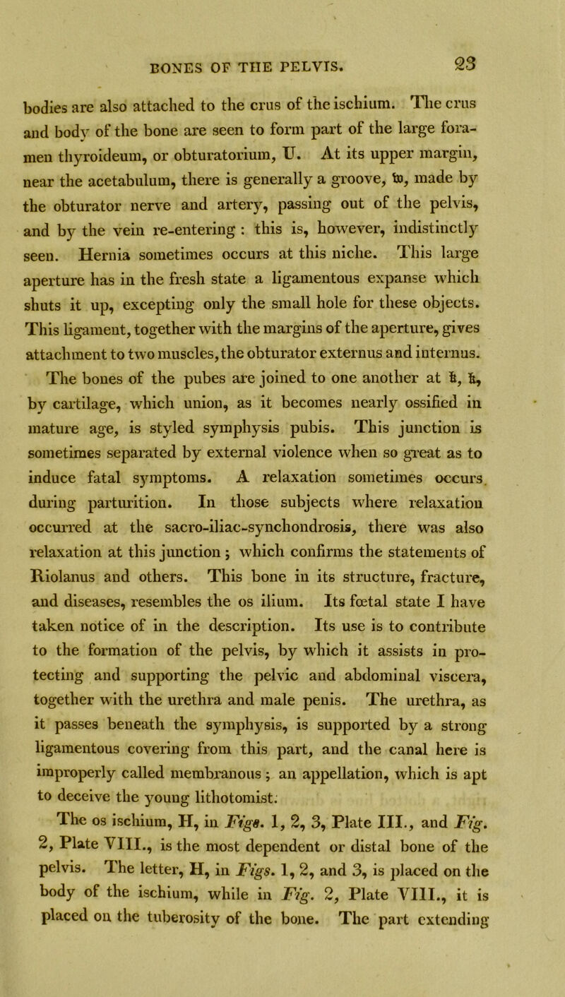 bodies are also attached to the crus of the ischium. The crus and body of the bone are seen to form part of the large fora- men thyroideum, or obturatorium, U. At its upper margin, near the acetabulum, there is generally a groove, to, made by the obturator nerve and artery, passing out of the pelvis, and by the vein re-entering : this is, however, indistinctly seen. Hernia sometimes occurs at this niche. This large aperture has in the fresh state a ligamentous expanse which shuts it up, excepting only the small hole for these objects. This ligament, together with the margins of the aperture, gives attachment to two muscles, the obturator externus and interims. The bones of the pubes are joined to one another at fe, fc, by cartilage, which union, as it becomes nearly ossified in mature age, is styled symphysis pubis. This junction is sometimes separated by external violence when so great as to induce fatal symptoms. A relaxation sometimes occurs, during parturition. In those subjects where relaxation occurred at the sacro-iliac-syncliondrosis, there was also relaxation at this junction ; which confirms the statements of Riolanus and others. This bone in its structure, fracture, and diseases, resembles the os ilium. Its foetal state I have taken notice of in the description. Its use is to contribute to the formation of the pelvis, by which it assists in pro- tecting and supporting the pelvic and abdominal viscera, together with the urethra and male penis. The urethra, as it passes beneath the symphysis, is supported by a strong ligamentous covering from this part, and the canal here is improperly called membranous ; an appellation, which is apt to deceive the young lithotomist. The os ischium, H, in Figs. 1, 2, 3, Plate III., and Fig. 2, Plate VIII., is the most dependent or distal bone of the pelvis. The letter, H, in Figs. 1,2, and 3, is placed on the body of the ischium, while in Fig. 2, Plate VIII., it is placed on the tuberosity of the bone. The part extending